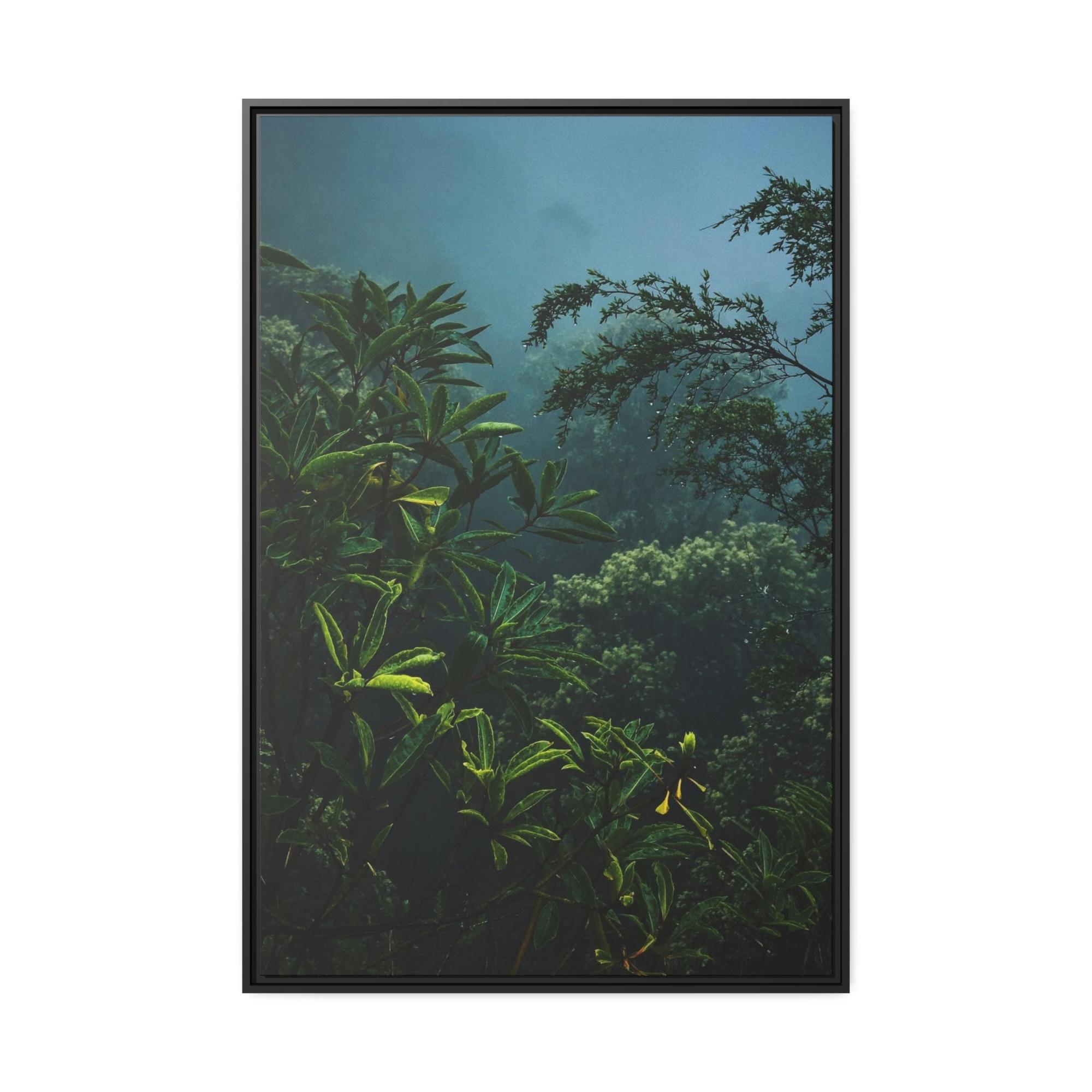 Forests And Jungles Forest and Jungle: A Haven of Tranquility and Serenity