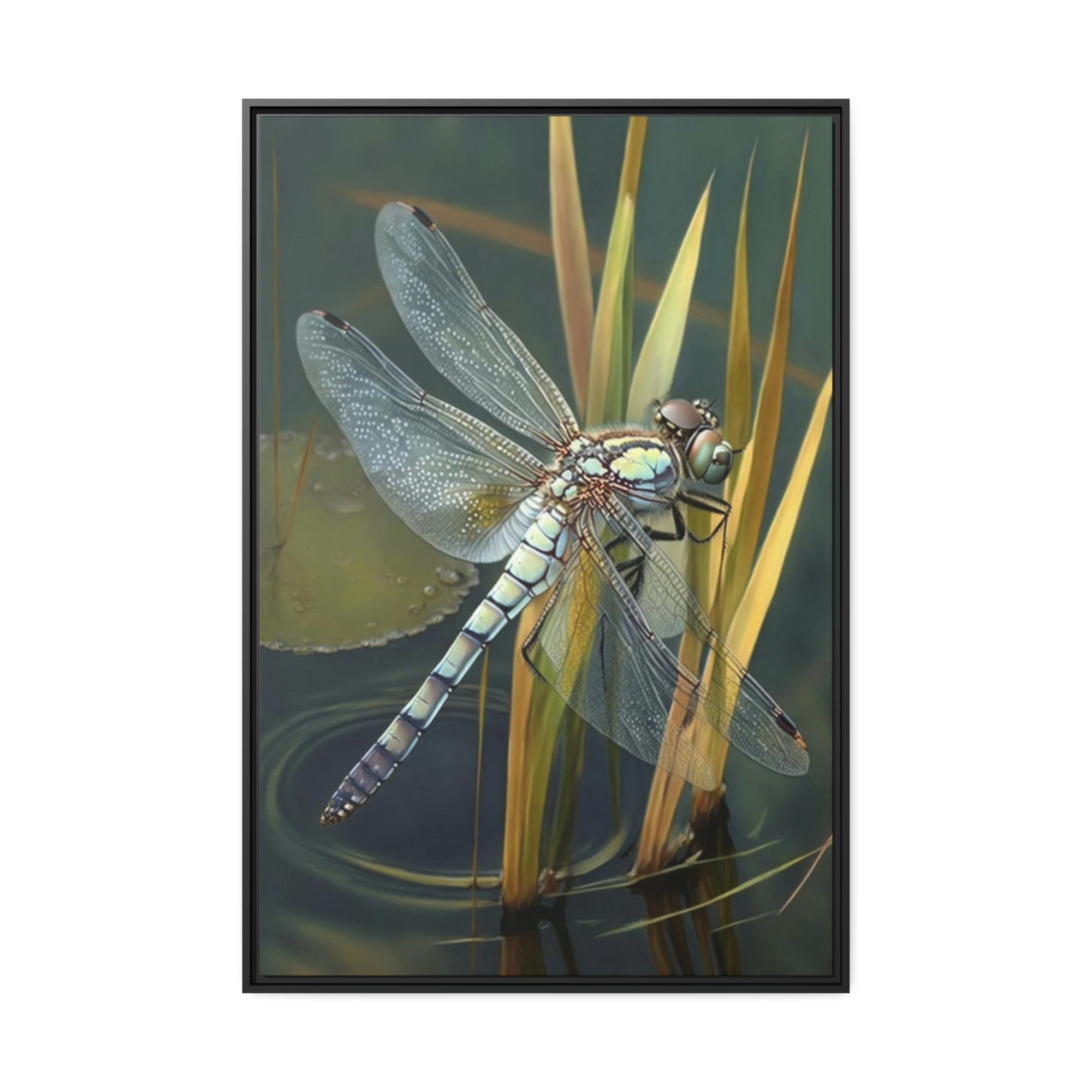 Dragonfly Dragonfly's World: A Framed Poster of These Lovely Insects