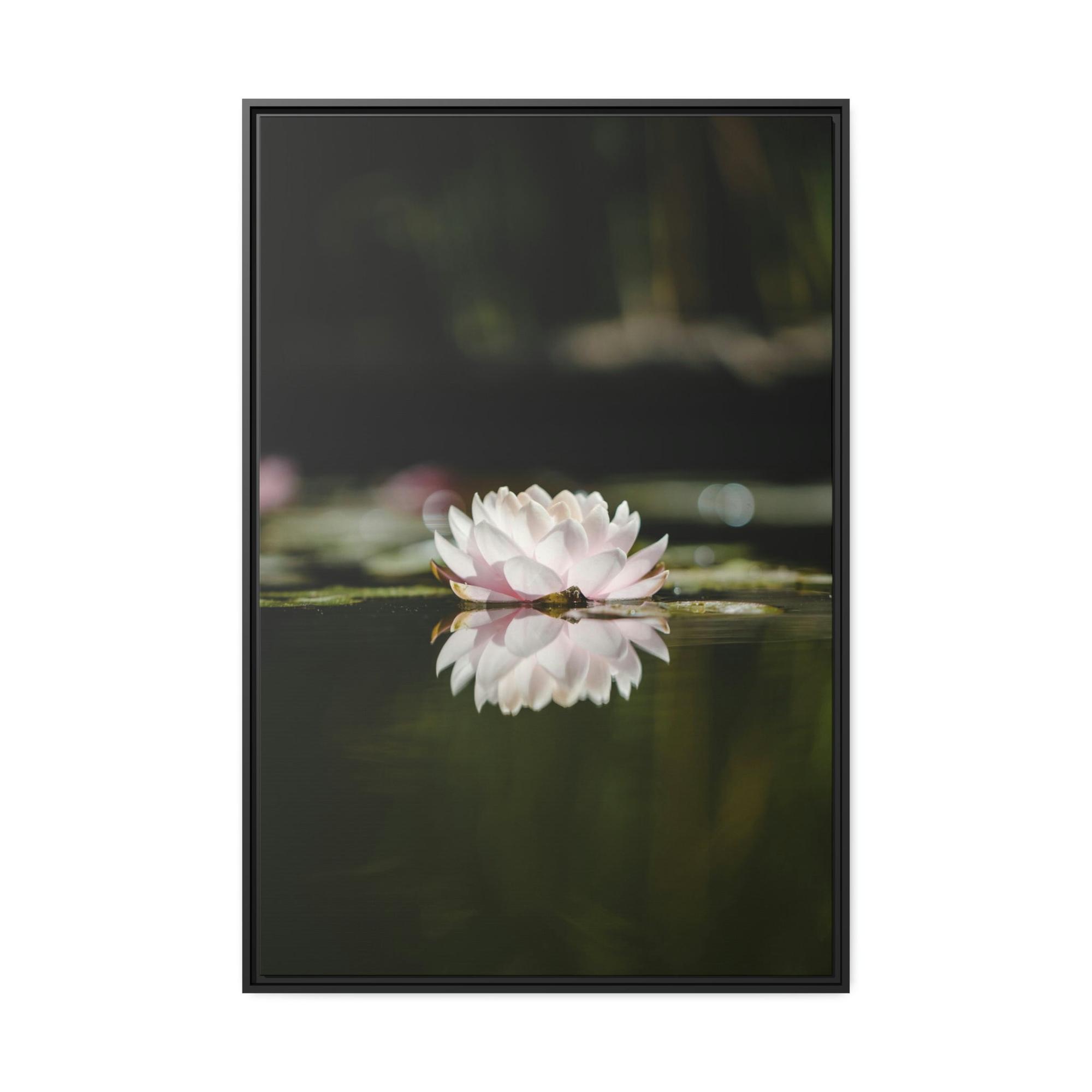 undefined Waterlily Paradise: A Canvas of Natural Tranquility