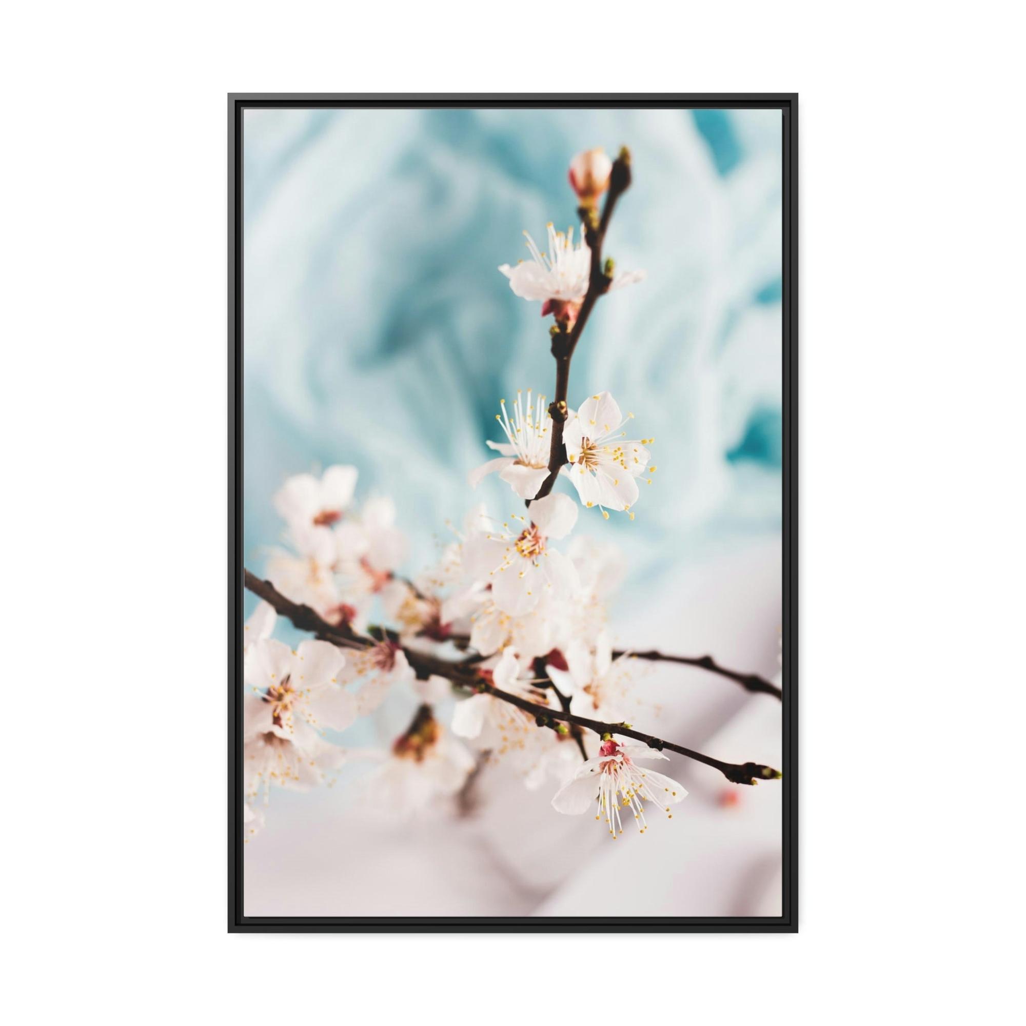 Cherry Blossoms Fragile Elegance: Cherry Blossoms on Artistic Print