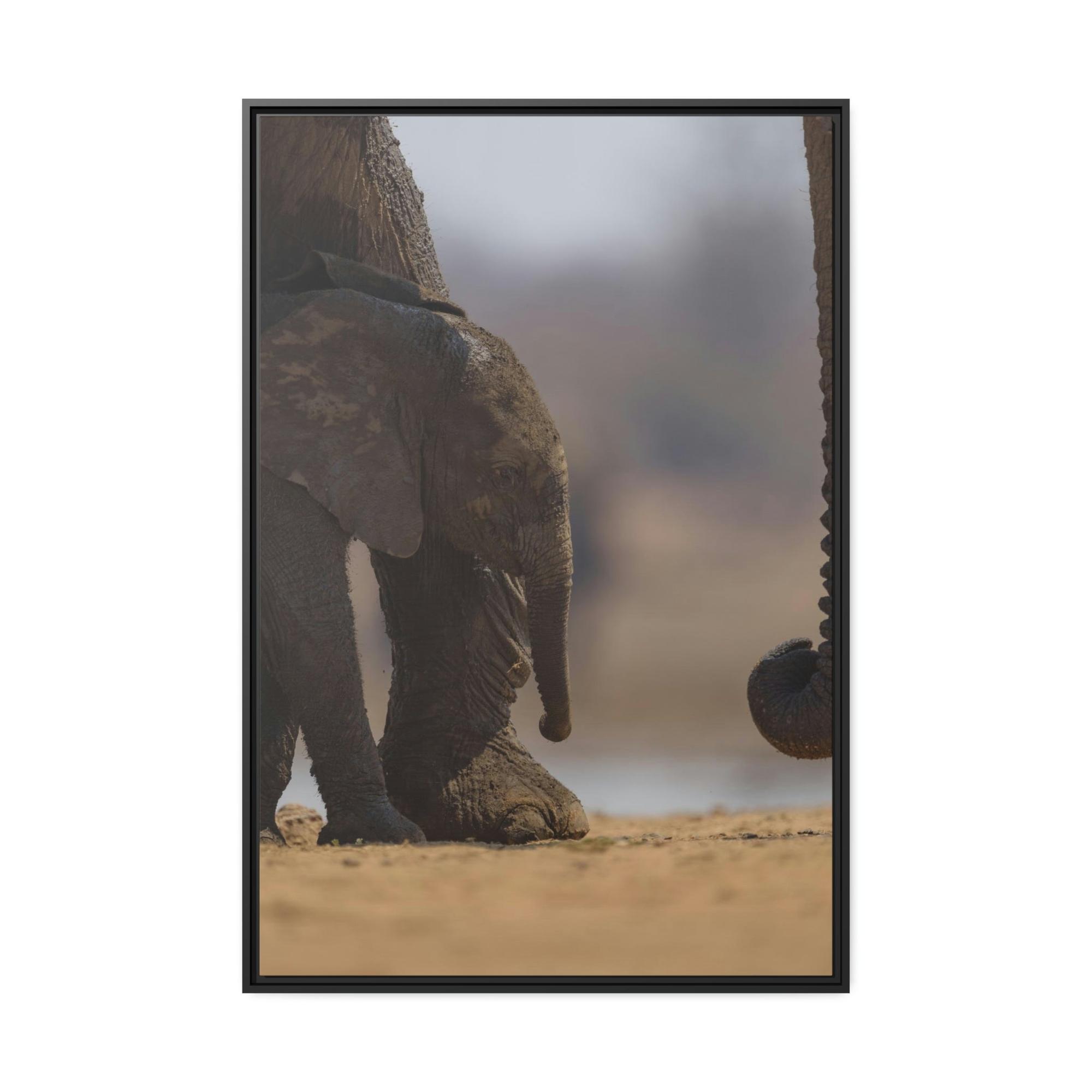 Safari Wildlife Trek: A Journey Through the African Savanna's Most Beautiful Creatures