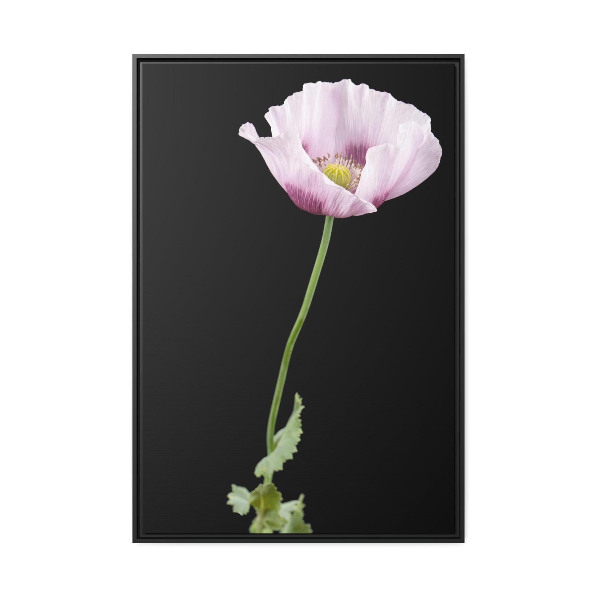 Poppies Petals of Passion: A Painting of Poppies as a Symbol of Love