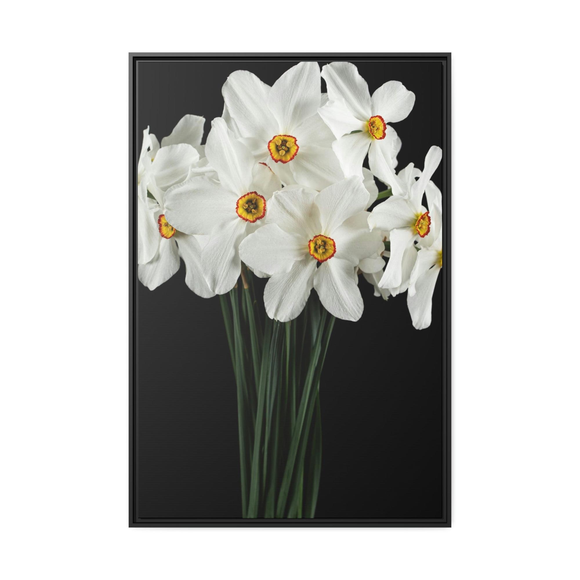 Daffodils Daffodil Euphoria: A Blissful Awakening