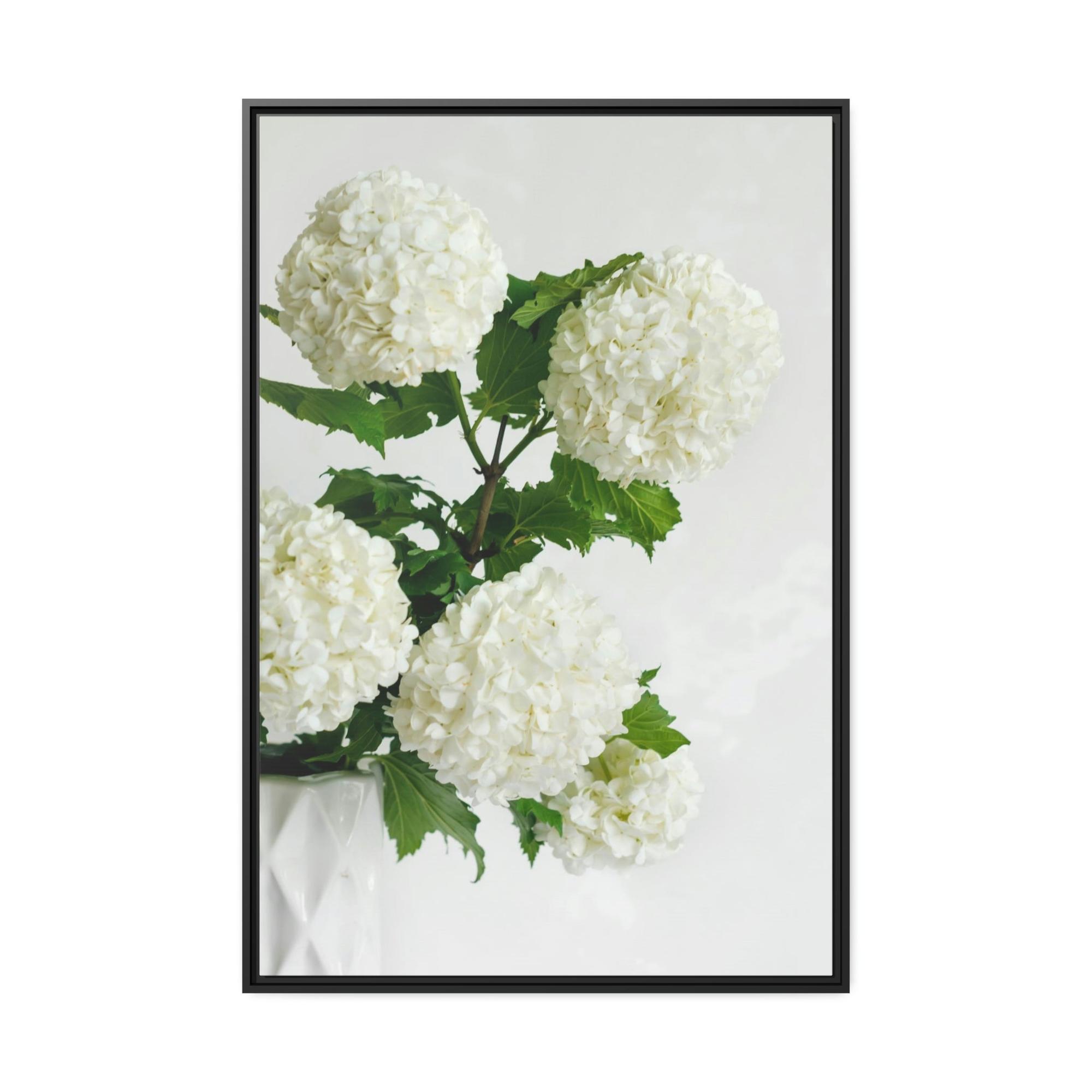 undefined Hydrangea Serenity: A Peaceful Haven