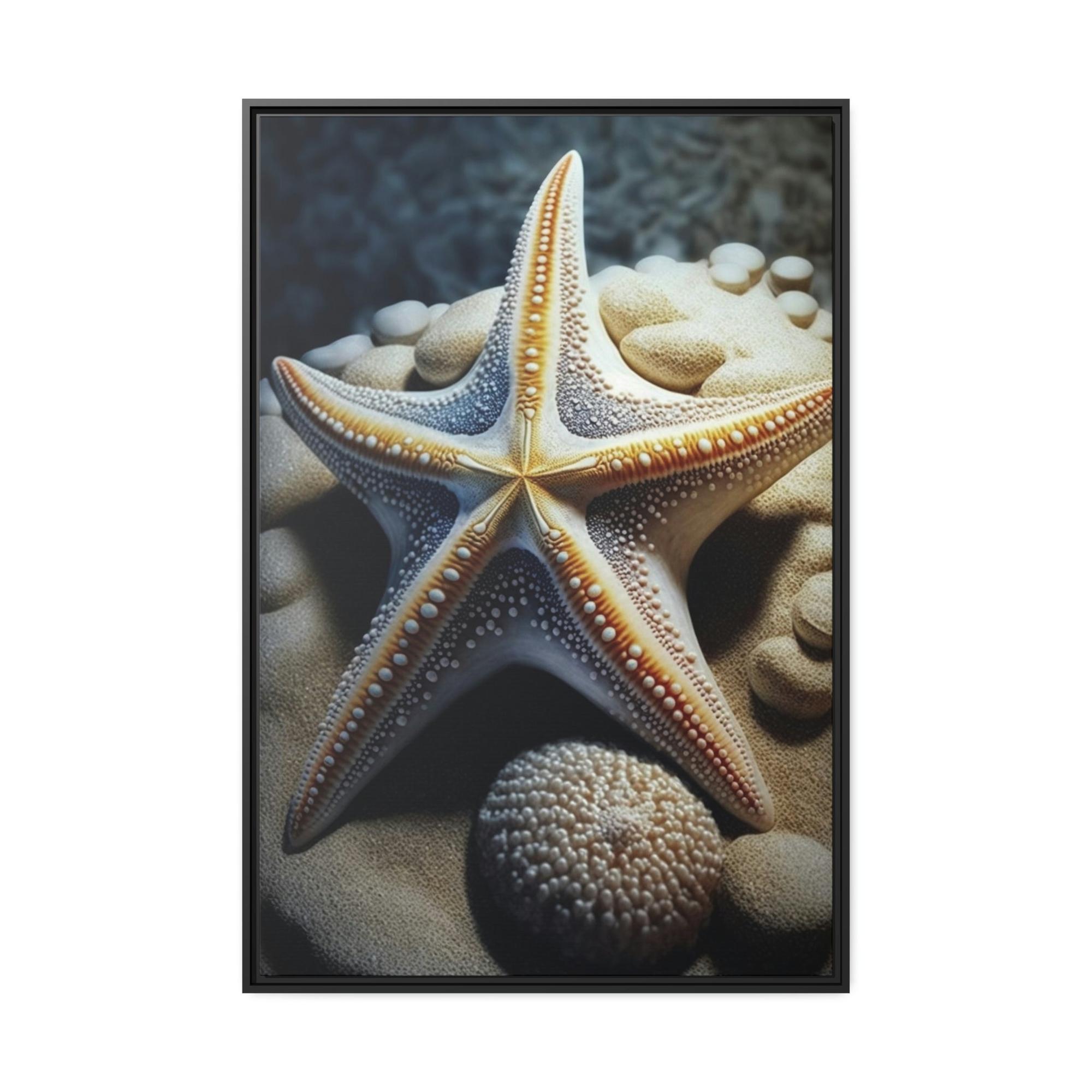 undefined Starfish Dreams: A Voyage to the Depths of Imagination