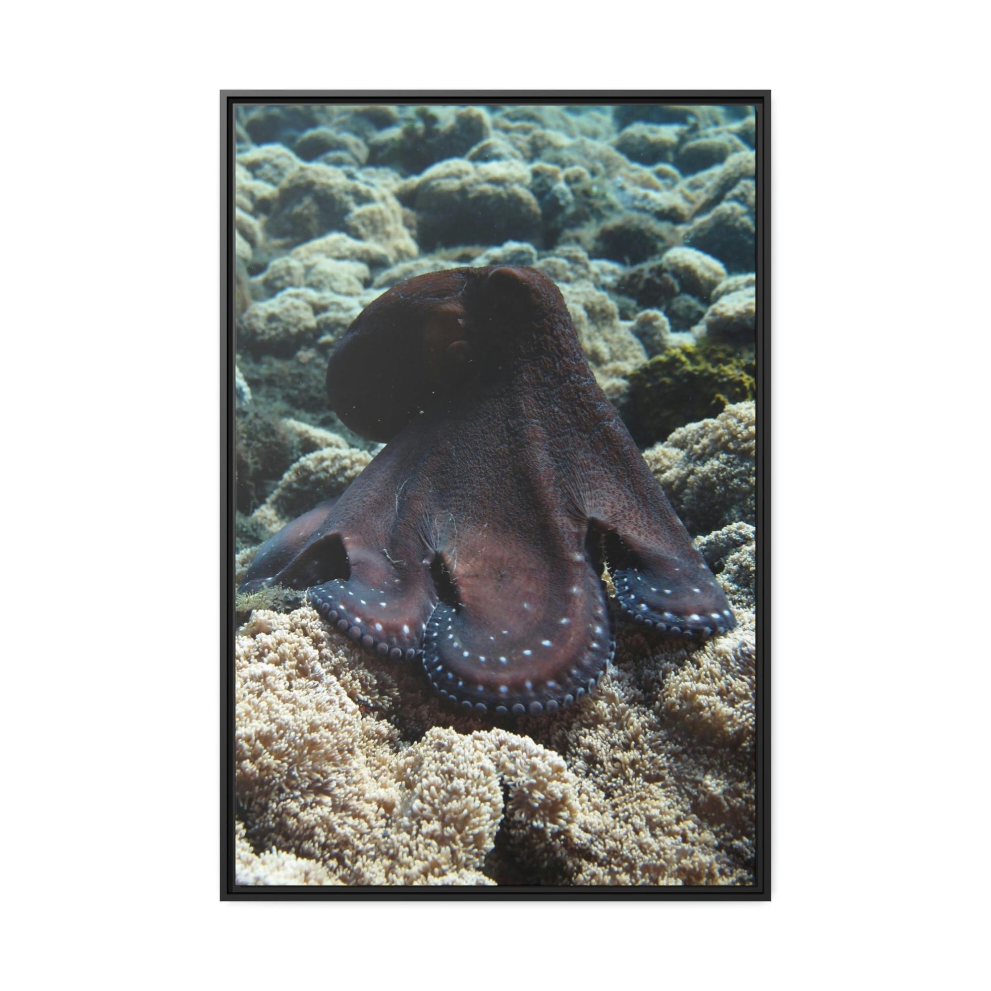 Octopuses The Enchantment of Octopuses: A Mysterious and Captivating Painting on Canvas
