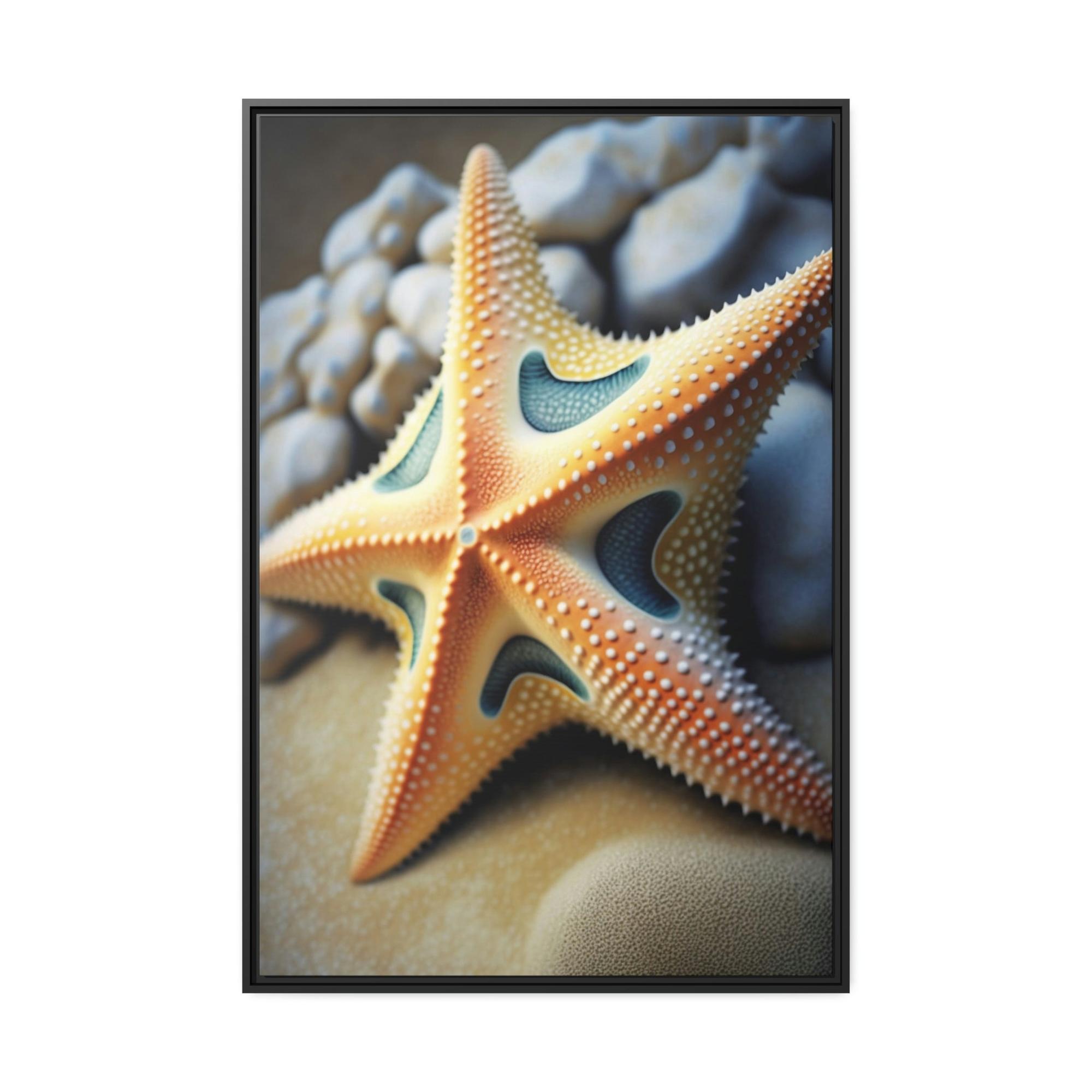 Starfishs Echoes of the Ocean: Starfish Symphony