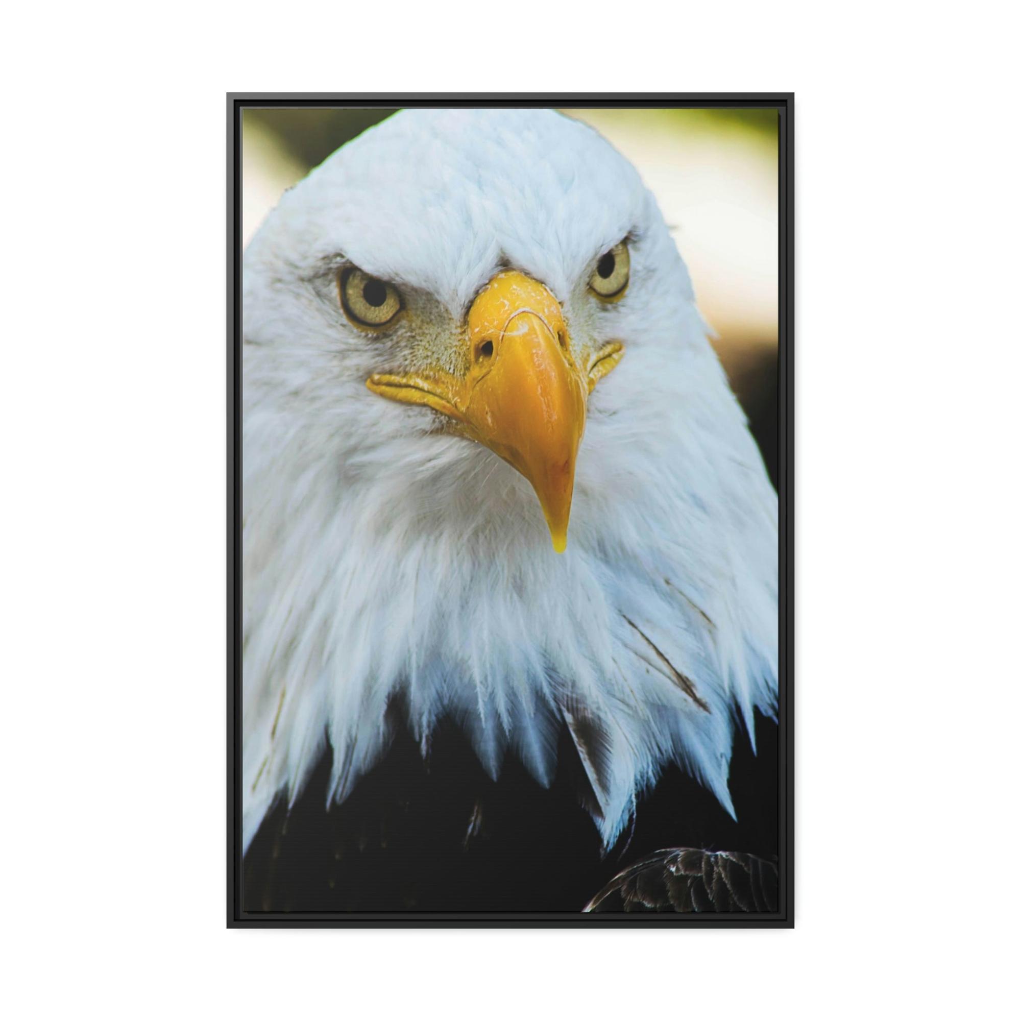 Eagles Eagle's Vigil: Canvas & Poster Enchanting with the Gaze of Majestic Birds