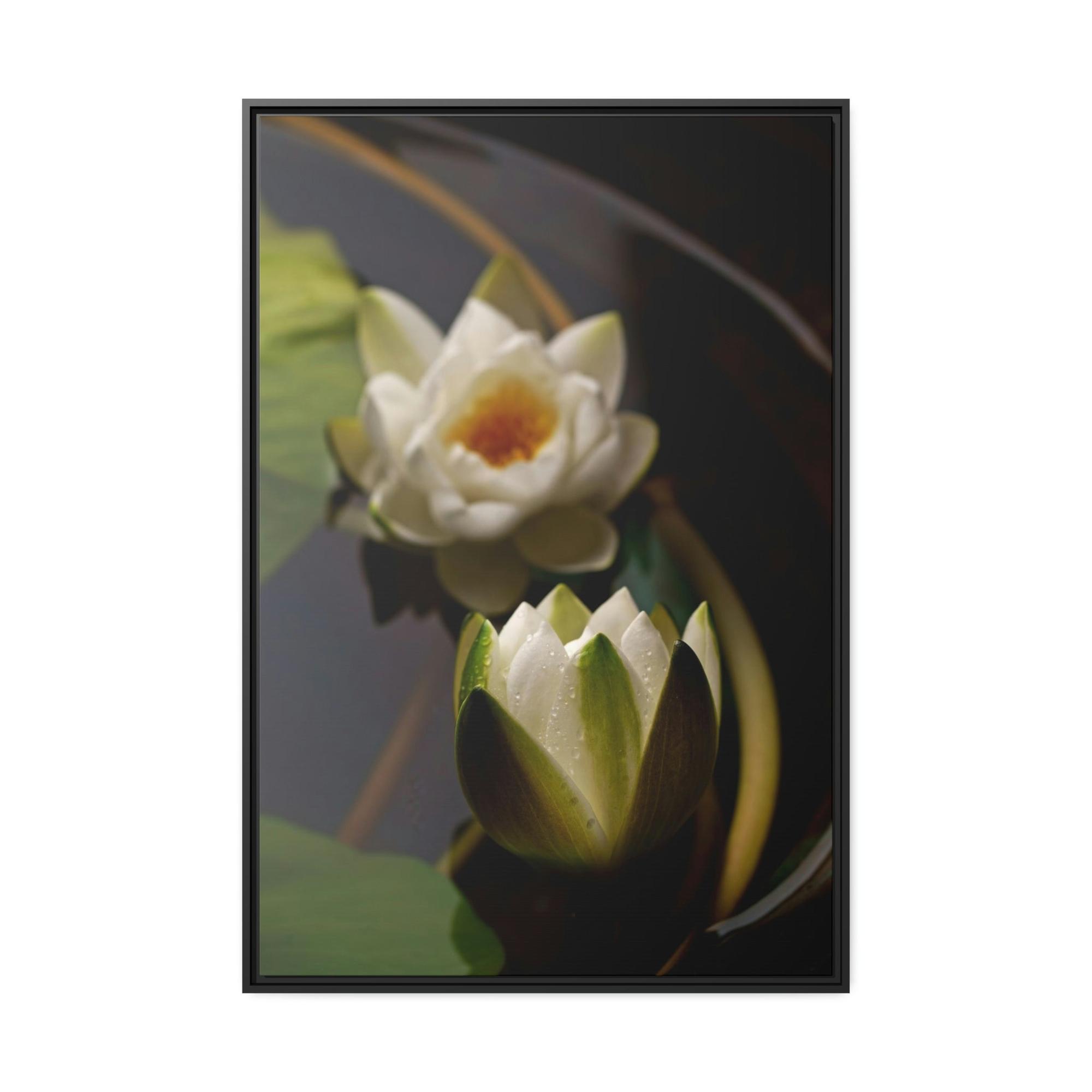 Lotuses Lotus Garden: Elegant Framed Poster and Print on Canvas