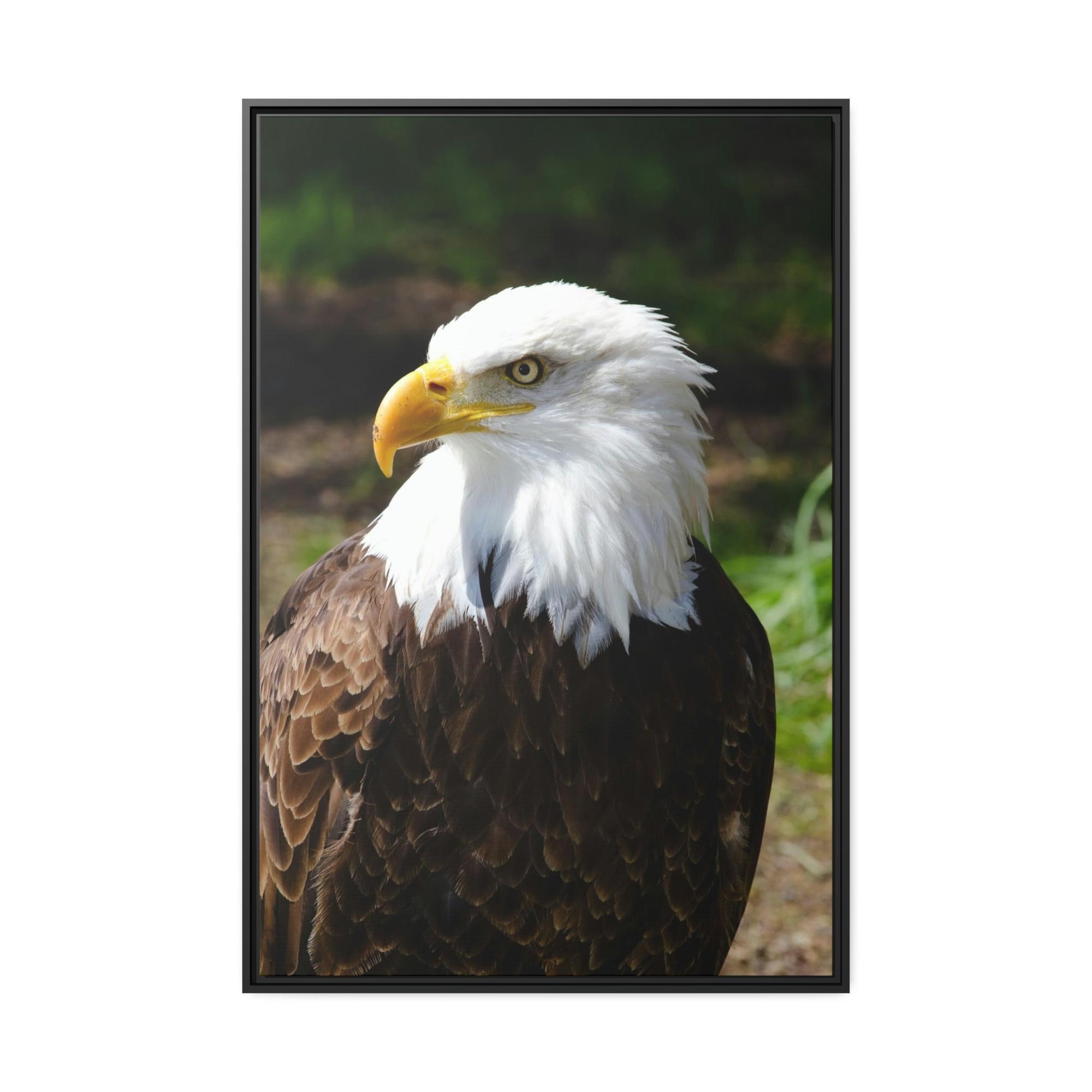 undefined Eagles in the Wild: Canvas Wall Art Celebrating these Noble Creatures