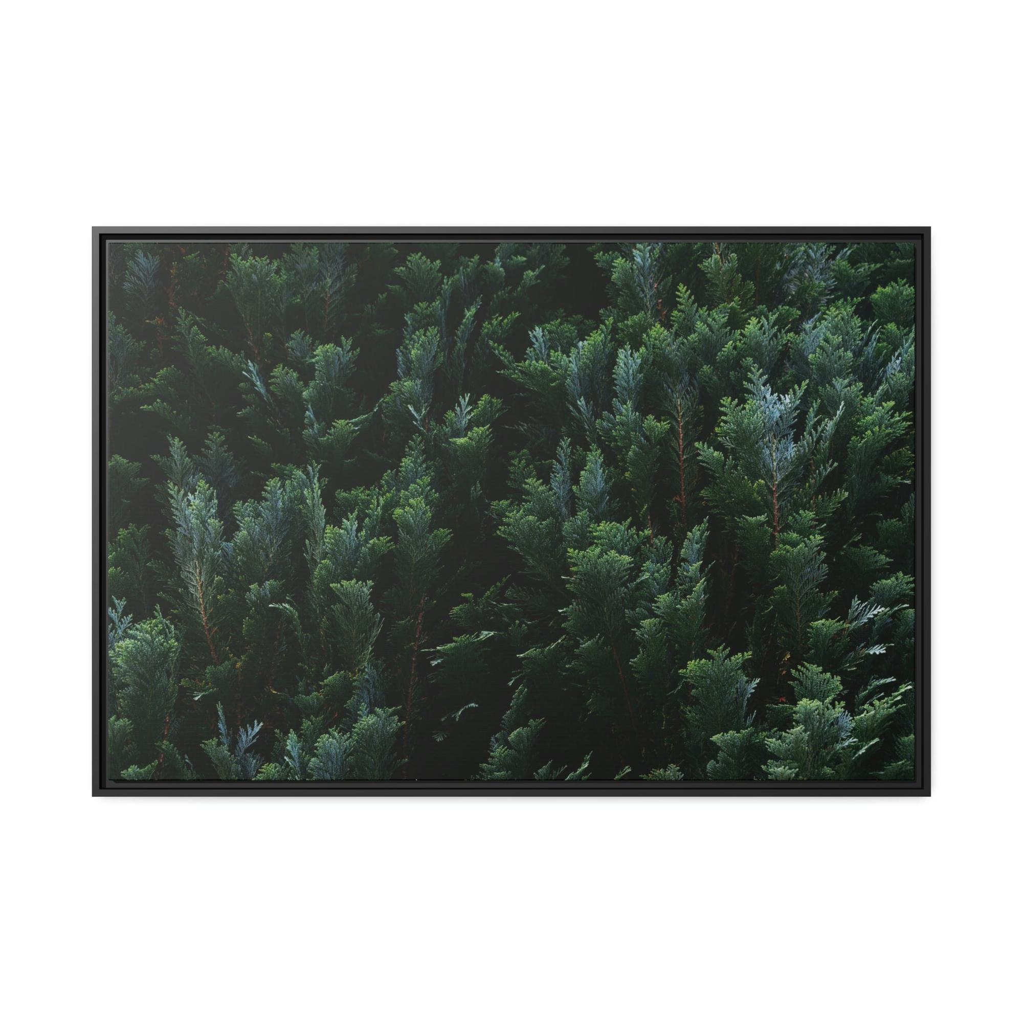 undefined Cypress Trees and the Eternal Serenity of Nature: A Vision of Peace and Calm