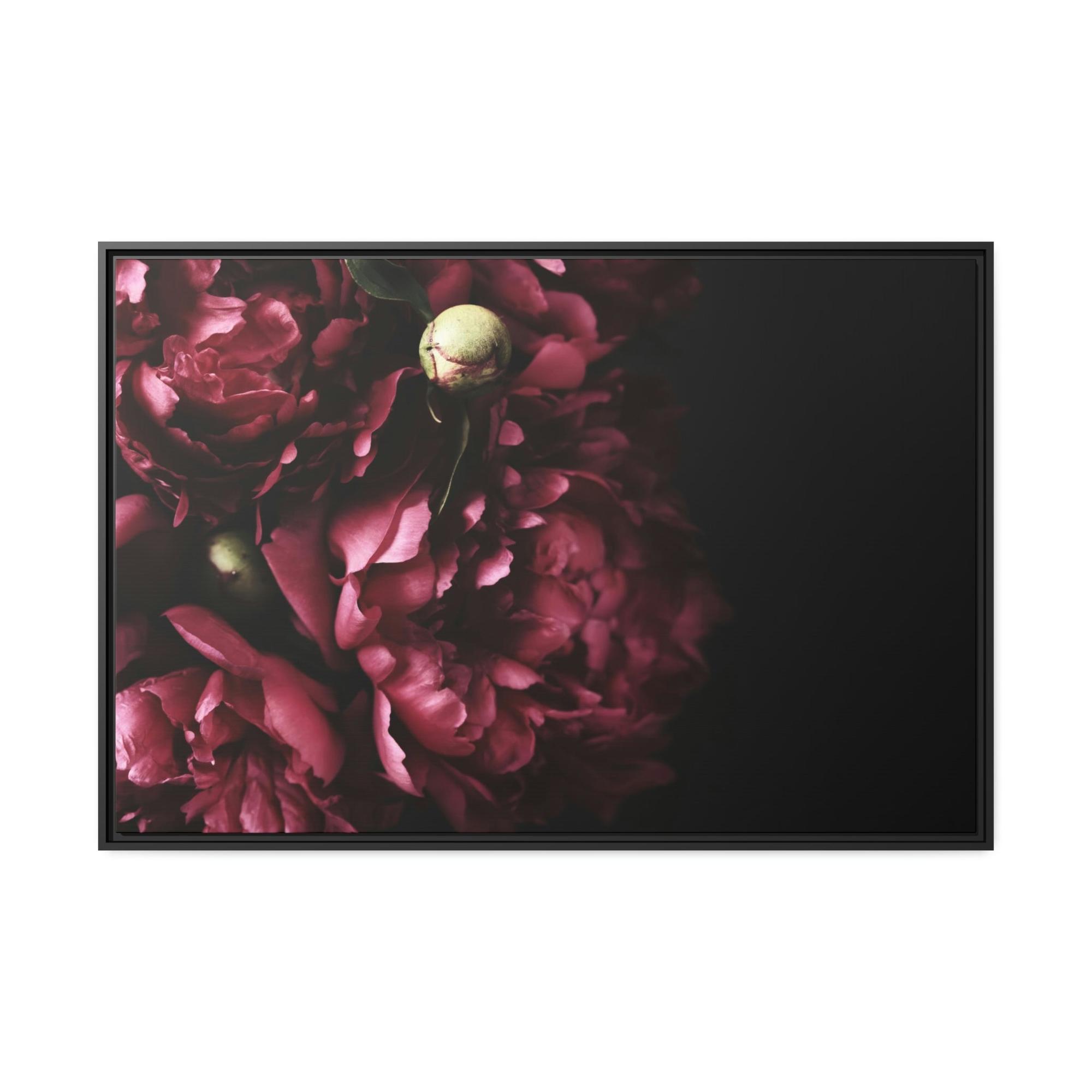 Peonies Petals and Promises: Peonies in Love