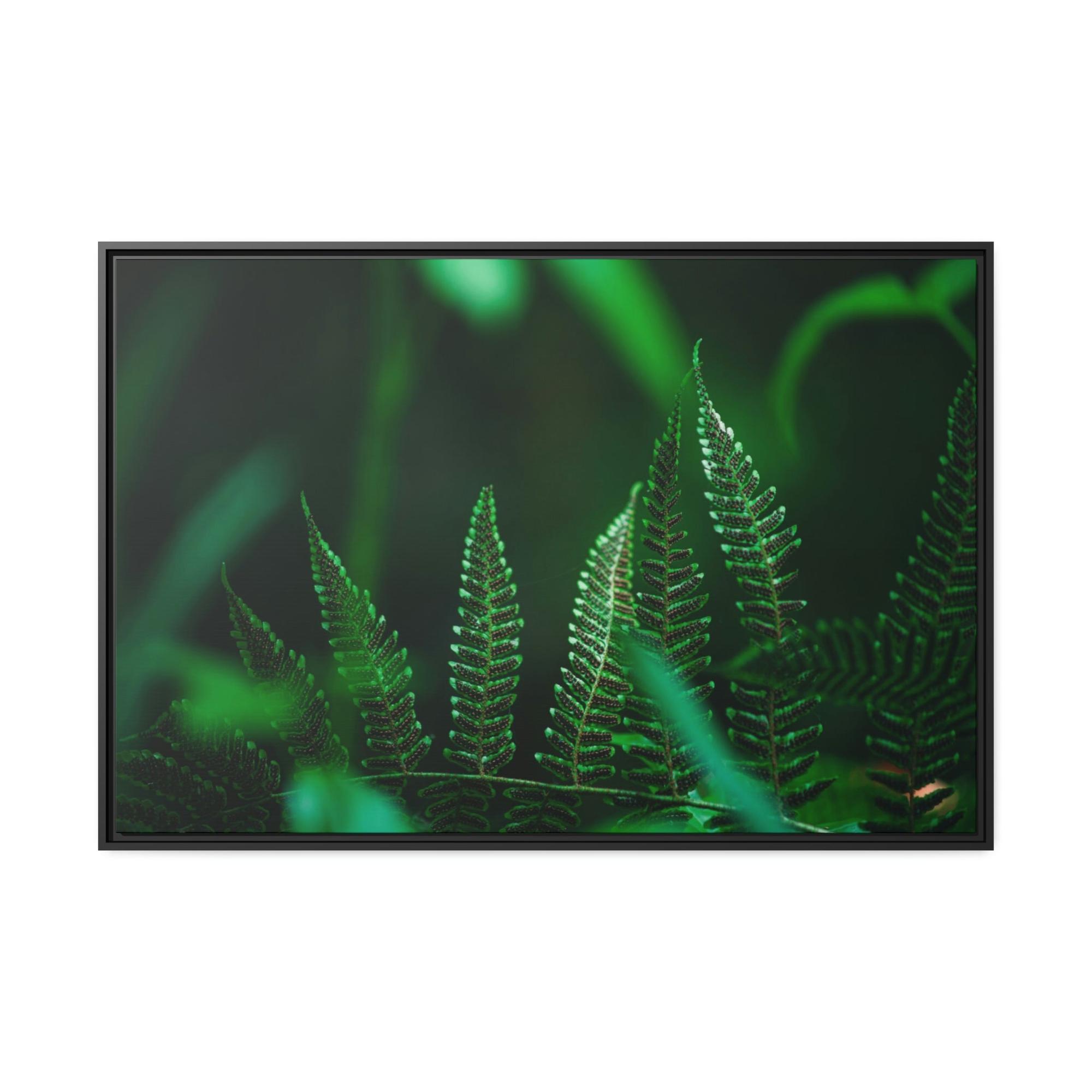 undefined A Flourishing Oasis of Plants: A Haven of Peace and Tranquility