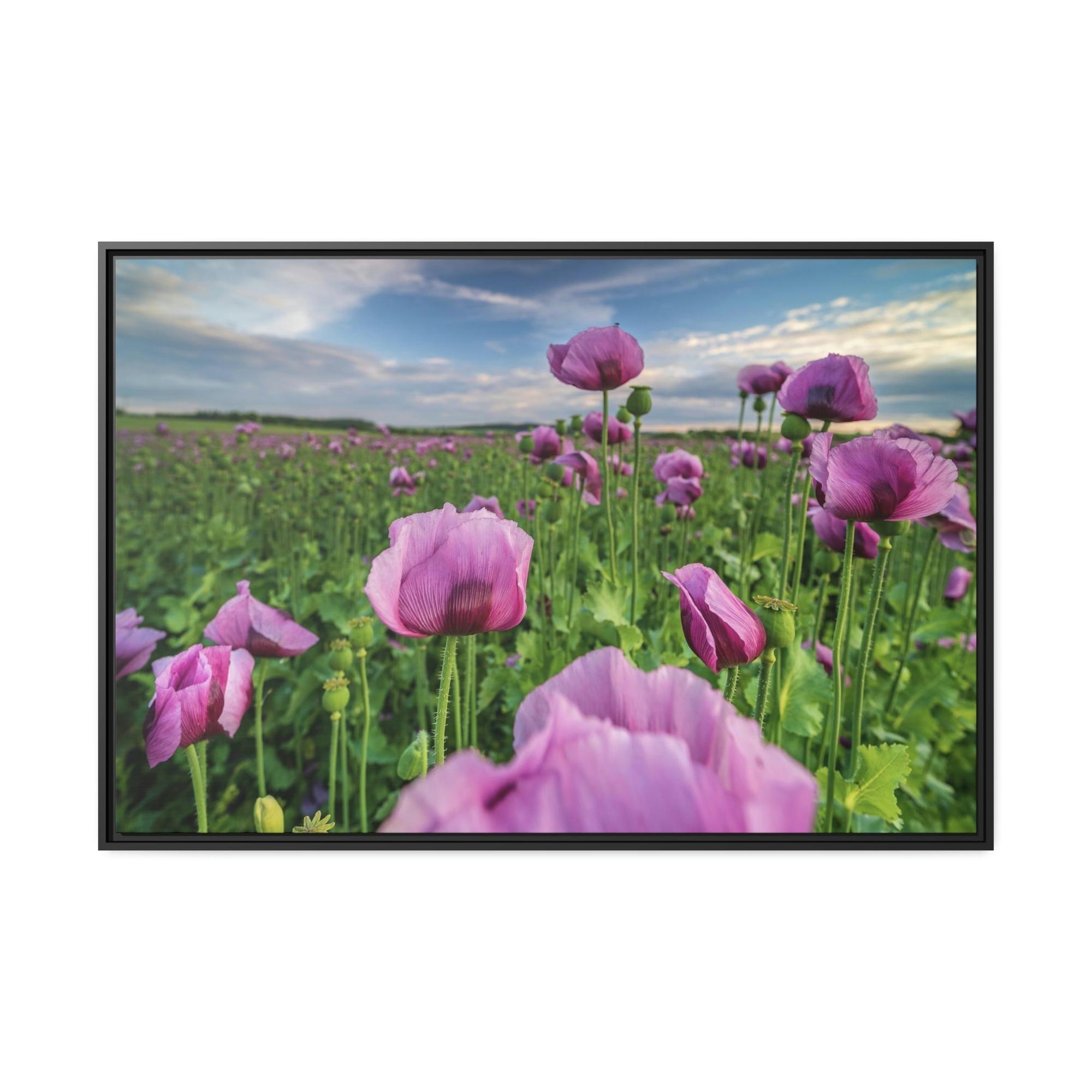 Poppies Poppy Perfection: A Painting of Poppies as a Symbol of Perfection