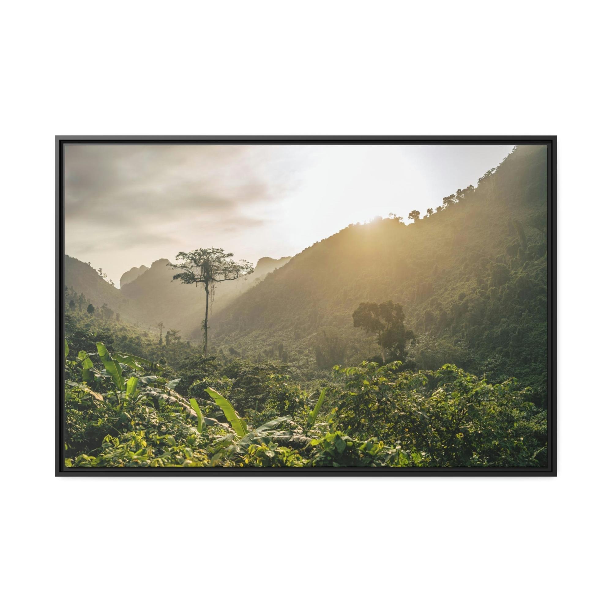Forests And Jungles A Journey Through Forests and Jungles: A Glimpse into the Heart of Nature
