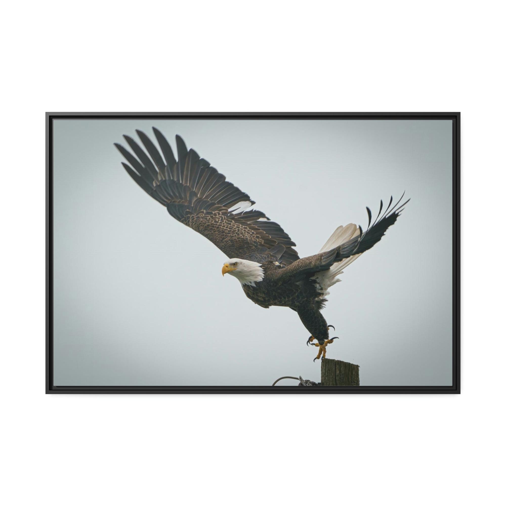 Eagles Eagle's Wings Unbound: Framed Canvas Embracing the Spirit of Freedom