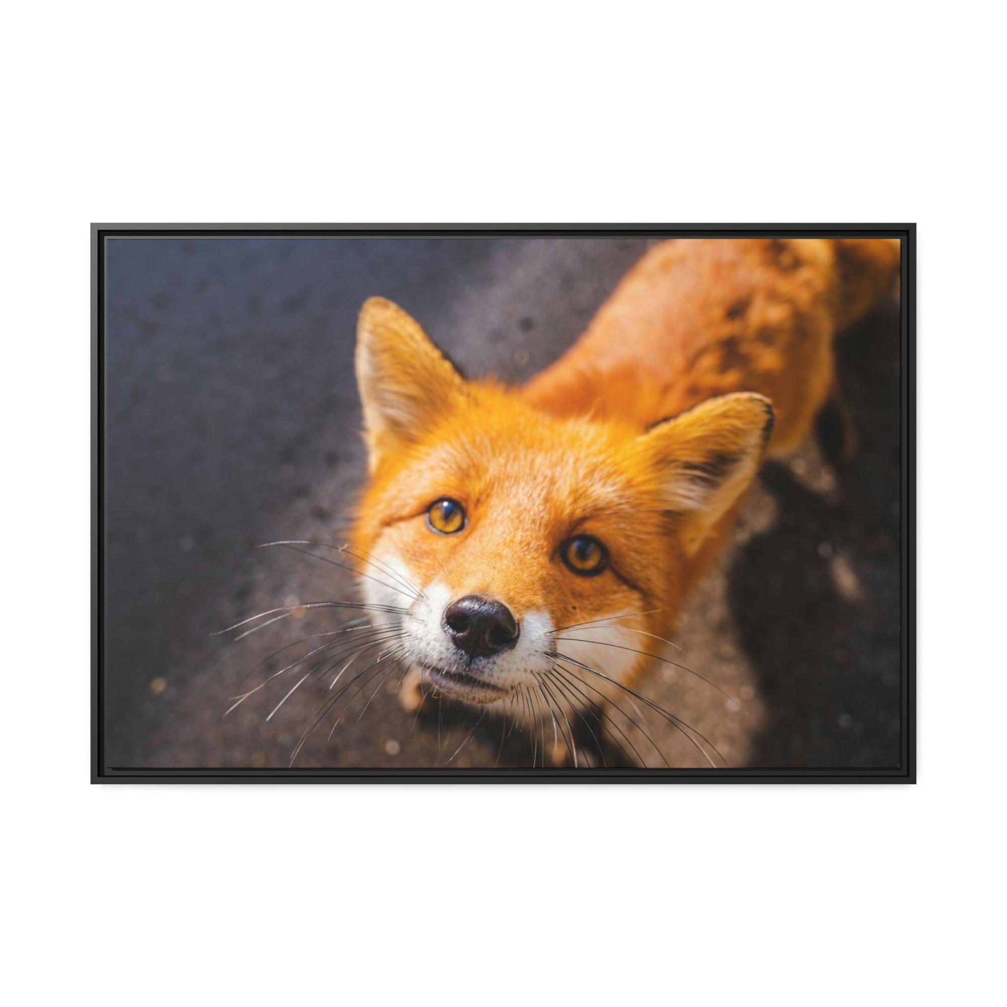 undefined The Mystic Fox: A Mysterious Enigma of the Natural World