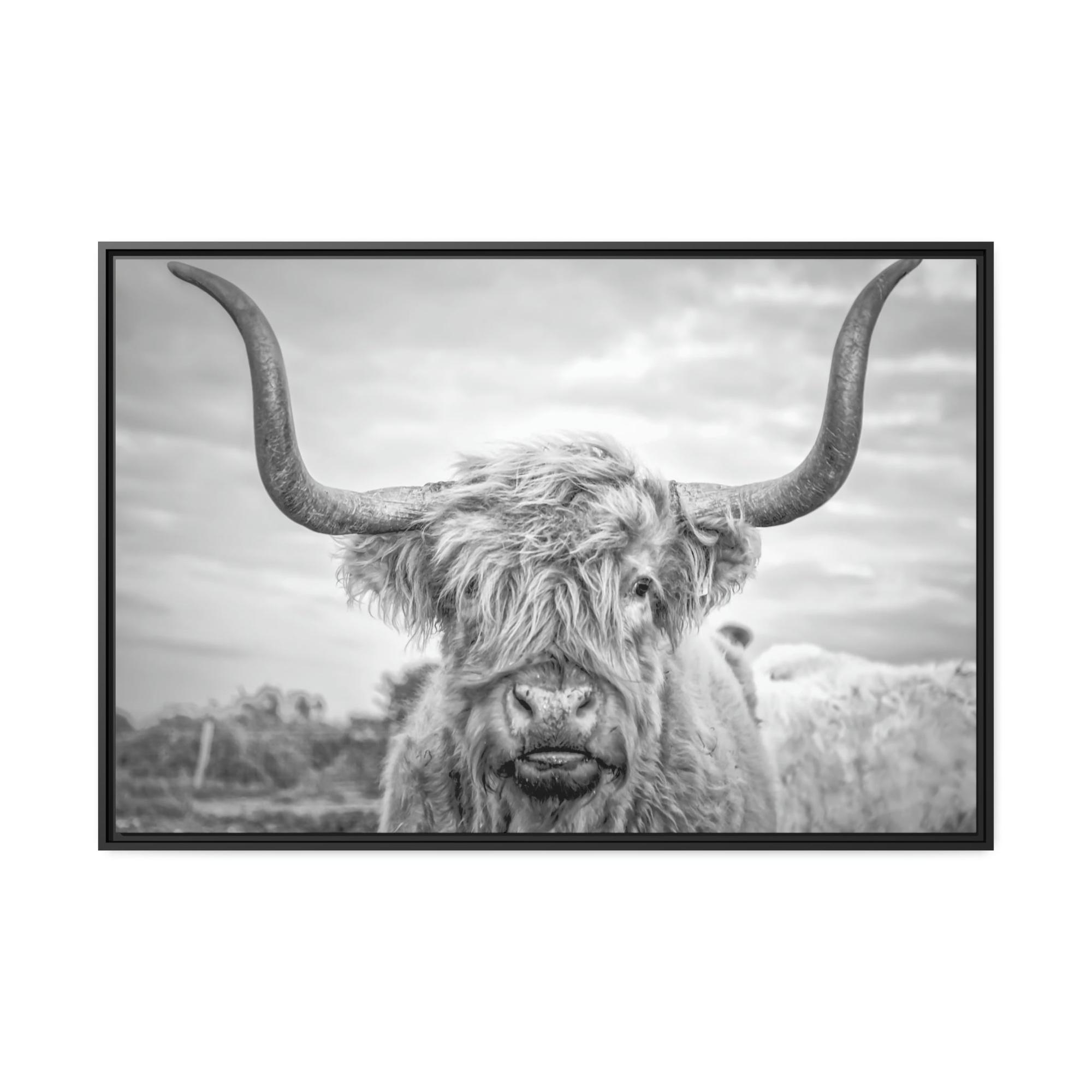 undefined Highland Cow Canvas Print | Black-White Colors | Horned Cattle Wall Art — Pixoram