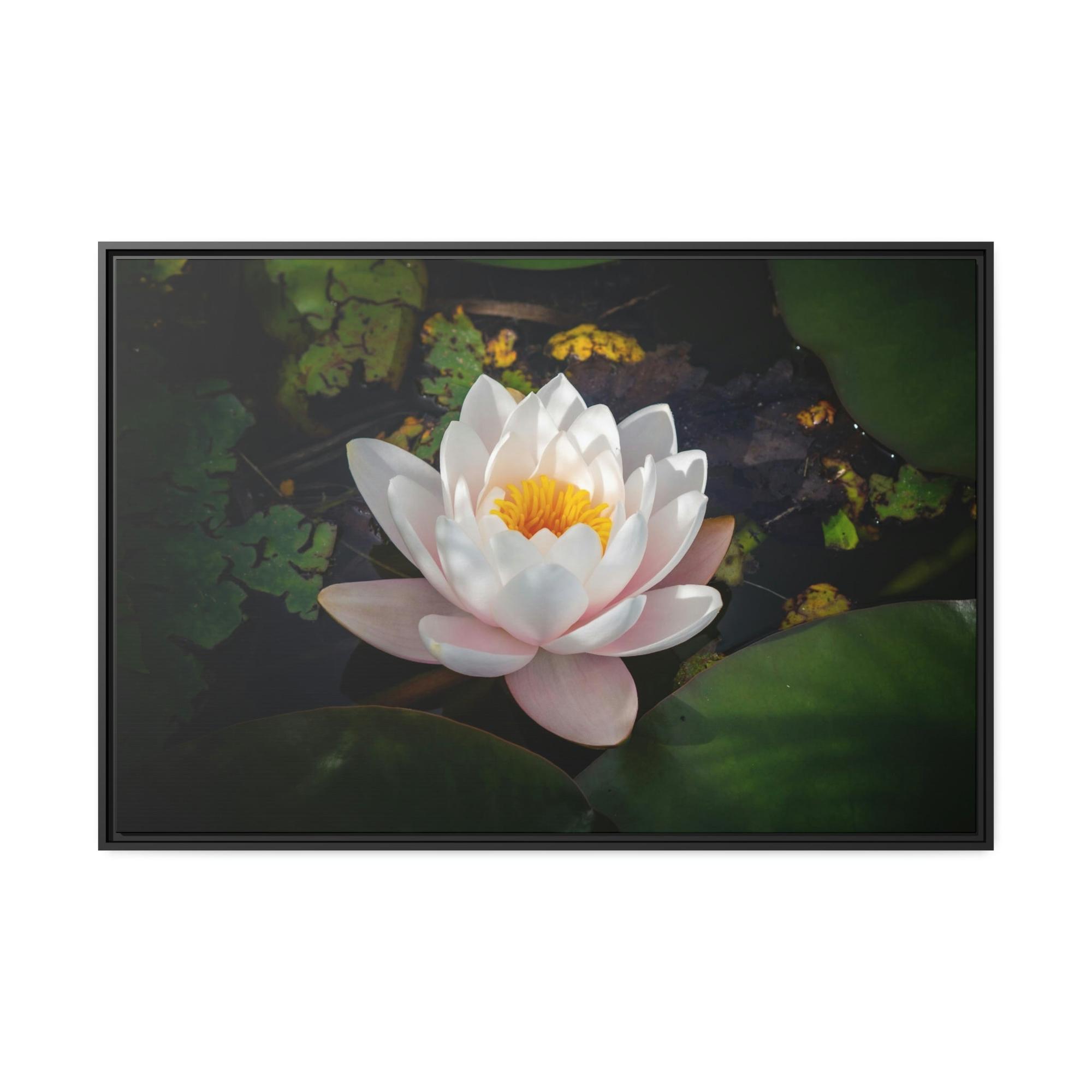 Lilies & Waterlily Tranquil Waters: A Canvas Depiction of Lilies Afloat