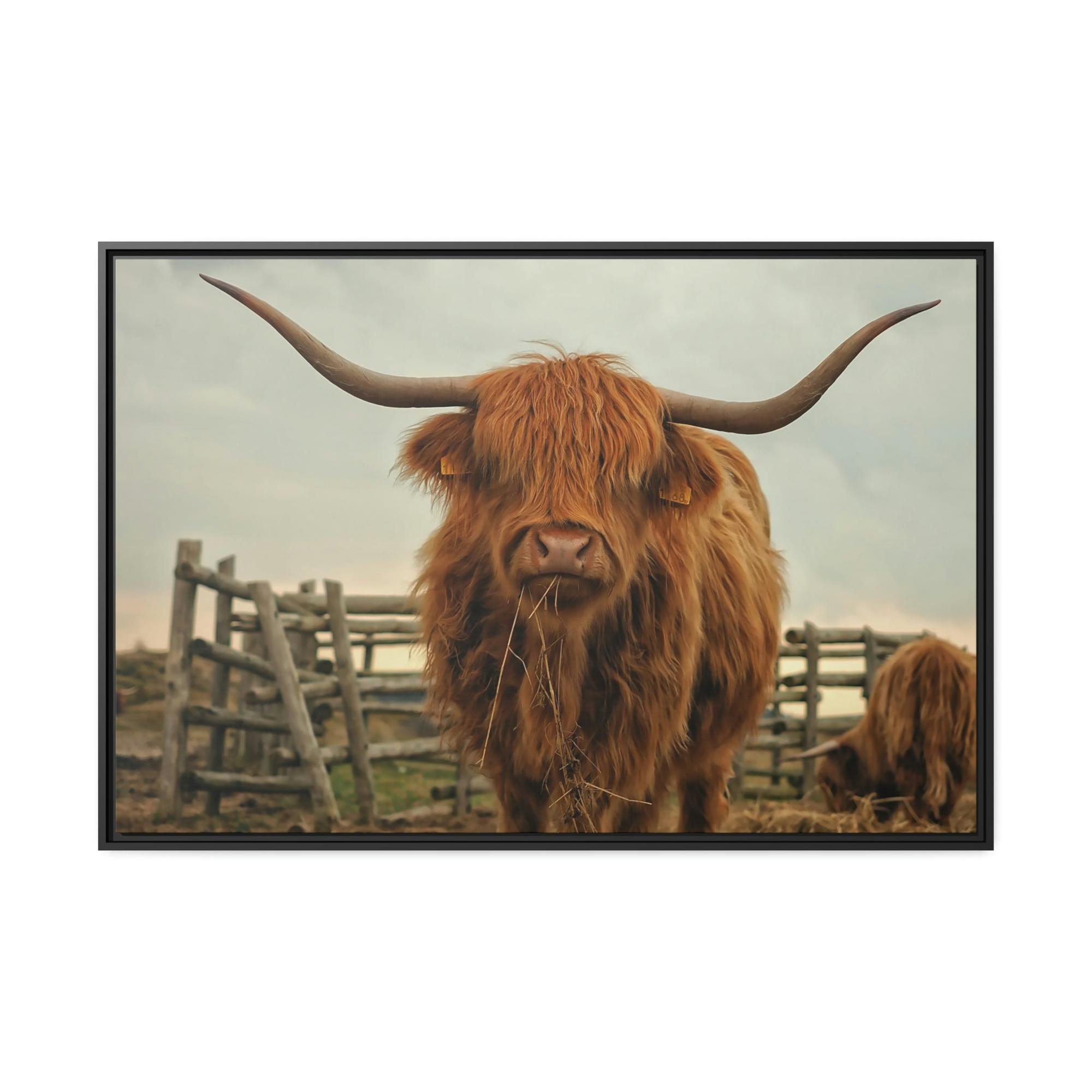 Highland Cow Highland Cow | Brown Horned Cow | Wall Art — Pixoram