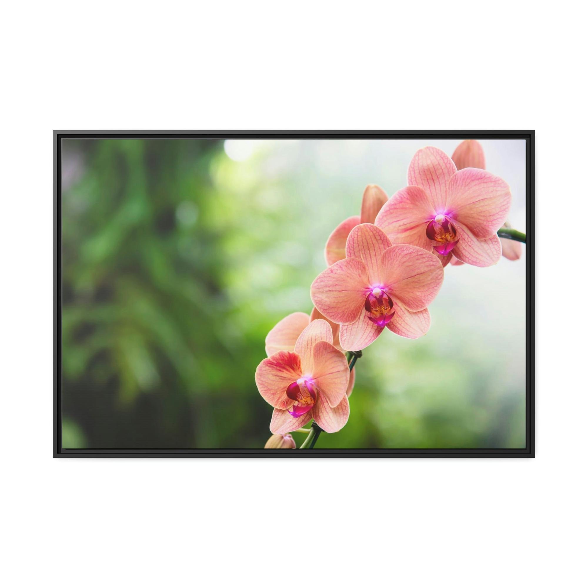 Orchids Whispers of Orchids: A Soft Canvas Touch
