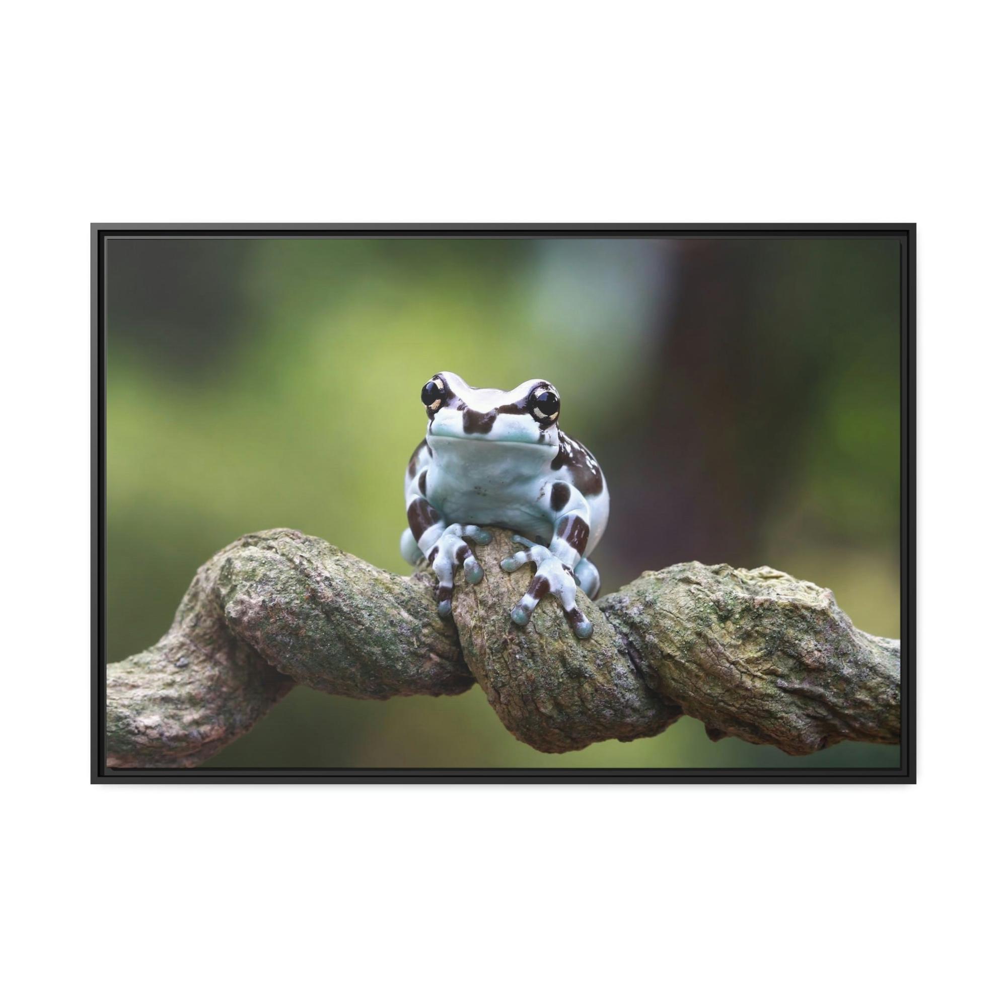 Frogs The Magic of Frogs: A Mystical Journey Through Nature's Realm