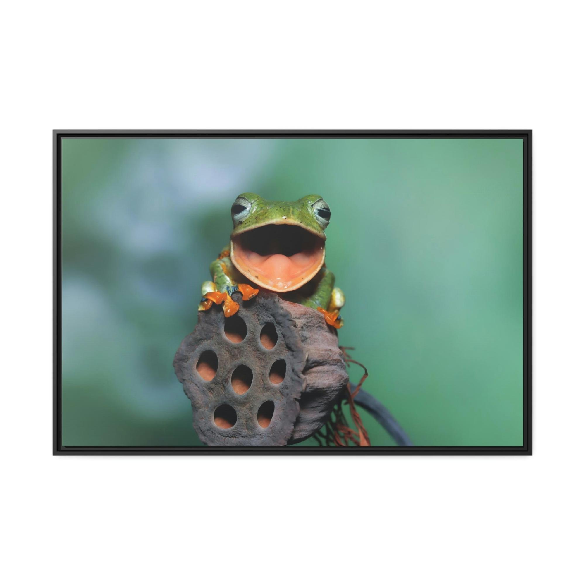 Frogs A Frog's World: An Exploration of Amphibian Life and Habitats