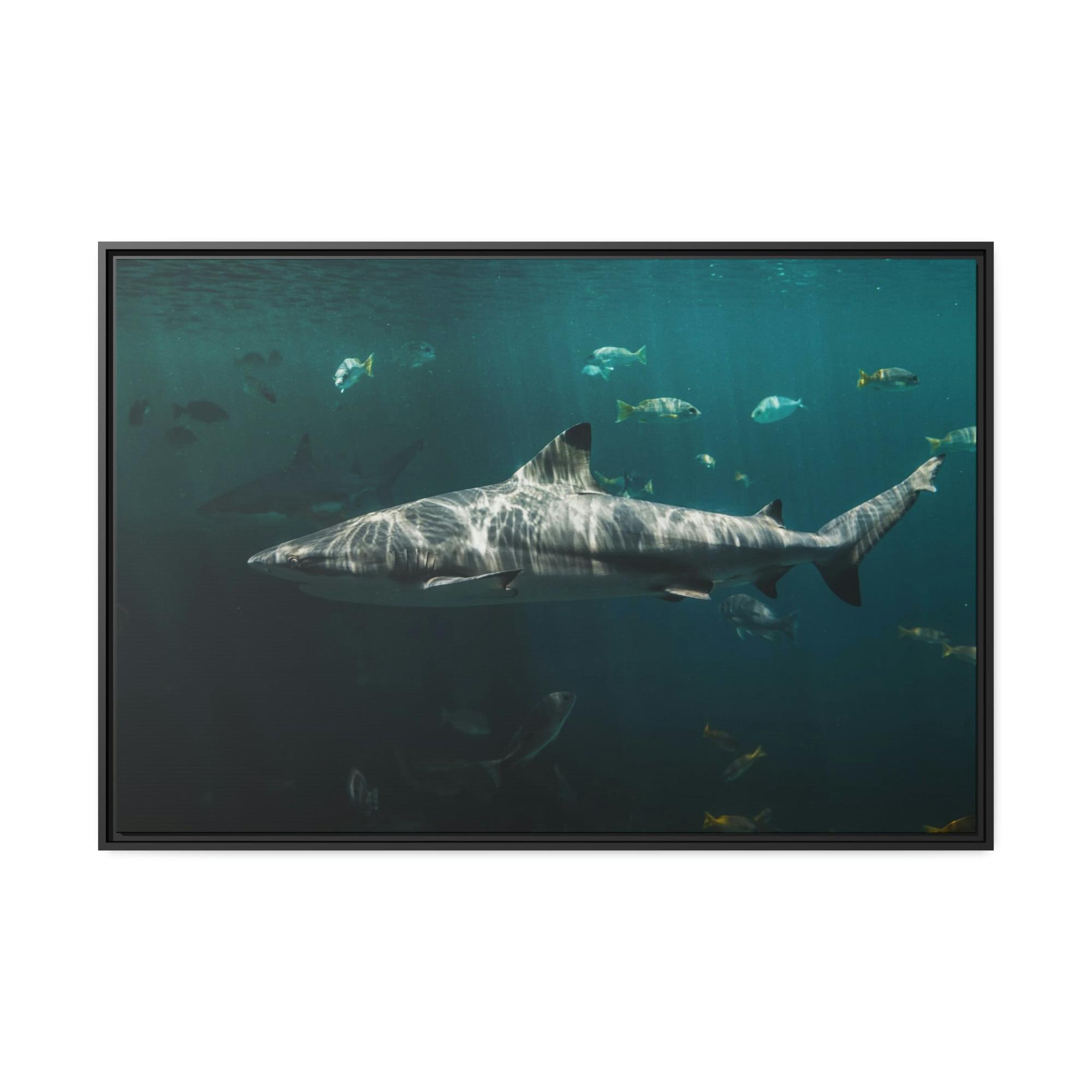 Sharks Silent Predators: Sharks' Haunting Canvas