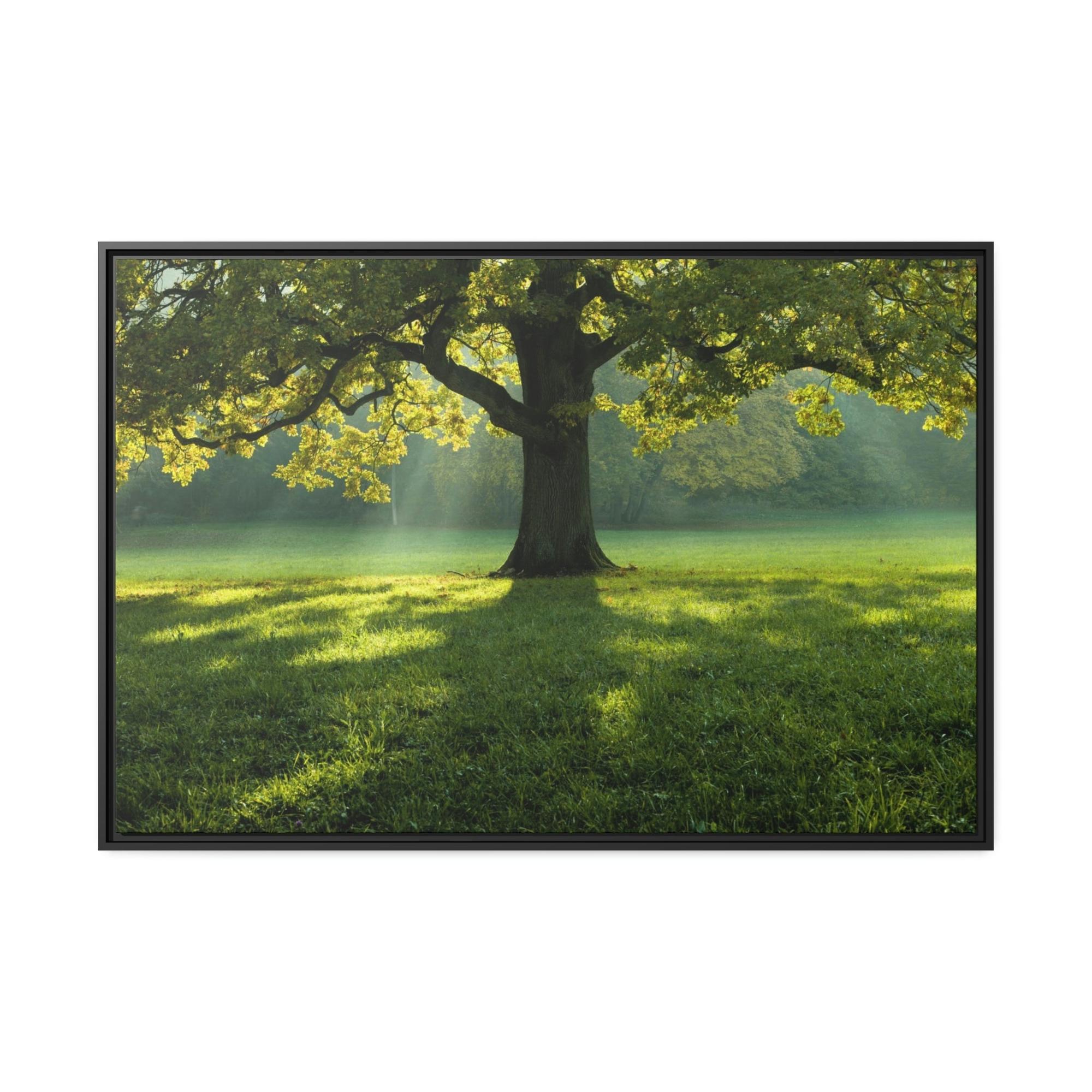 Trees The Tree of Life: A Soaring Tribute to the Power of Nature