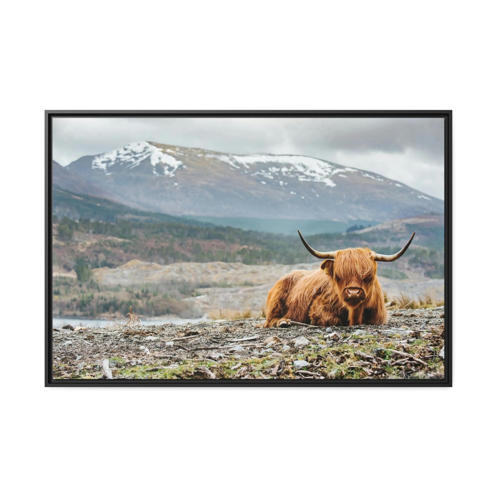 undefined Highland Cow | Furry Cow in the Mountains | Art Canvas — Pixoram