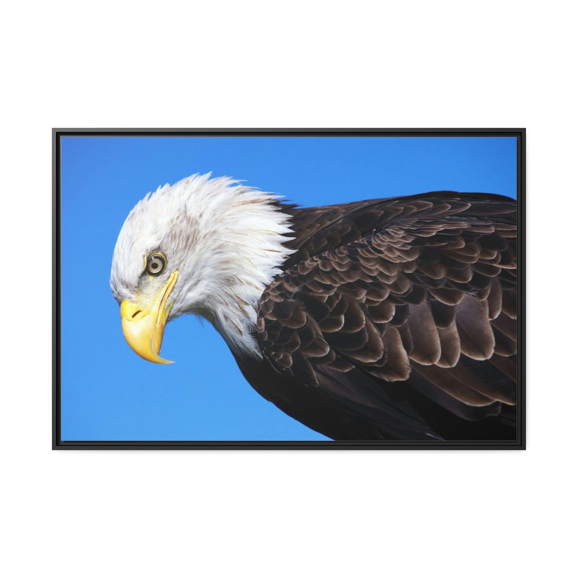 undefined Eagle's Enchantment: Artistic Canvas Print Conjuring the Magic of their Presence