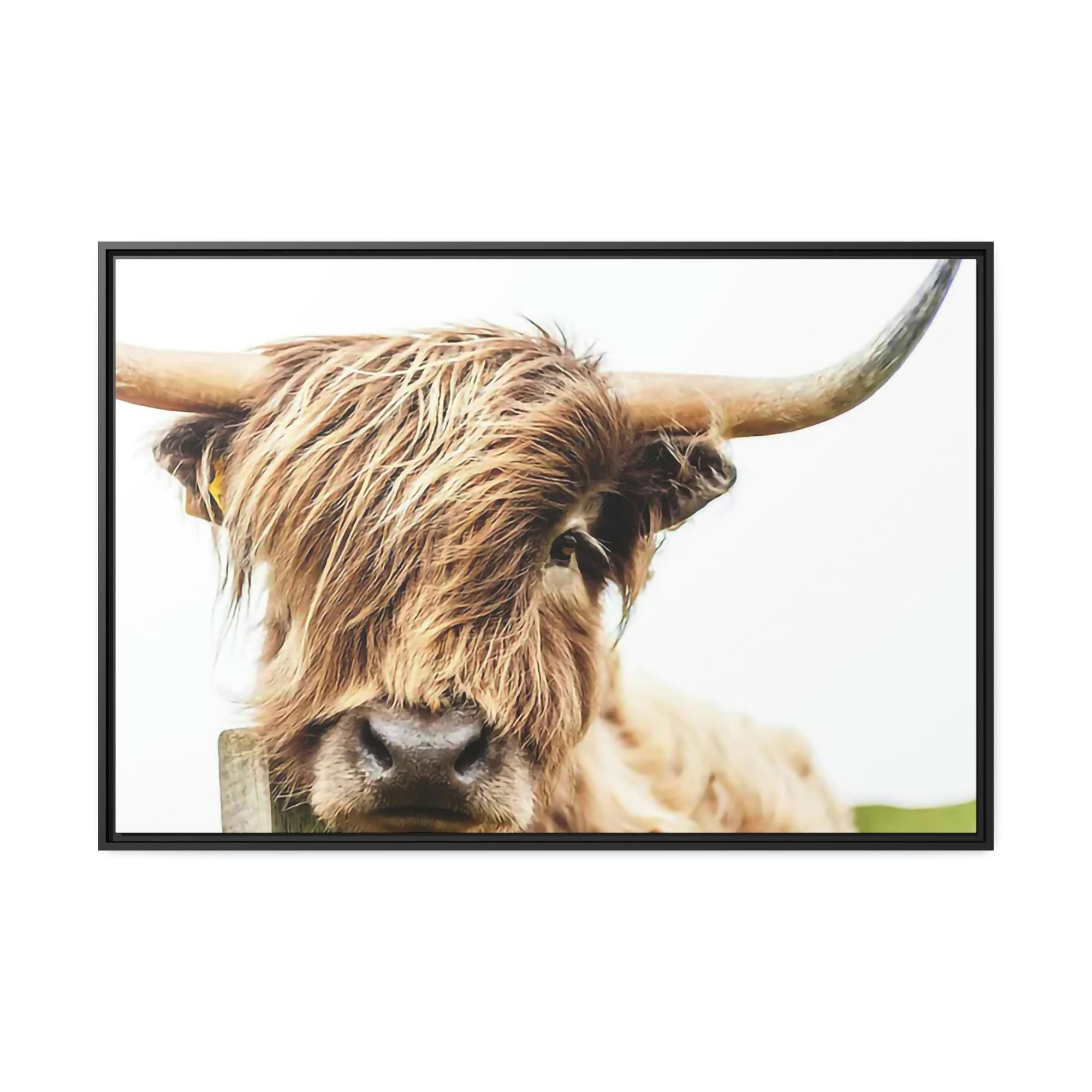 undefined Highland Cow Canvas Wall Art | Mellow Highland Cow | Canvas Art — Pixoram