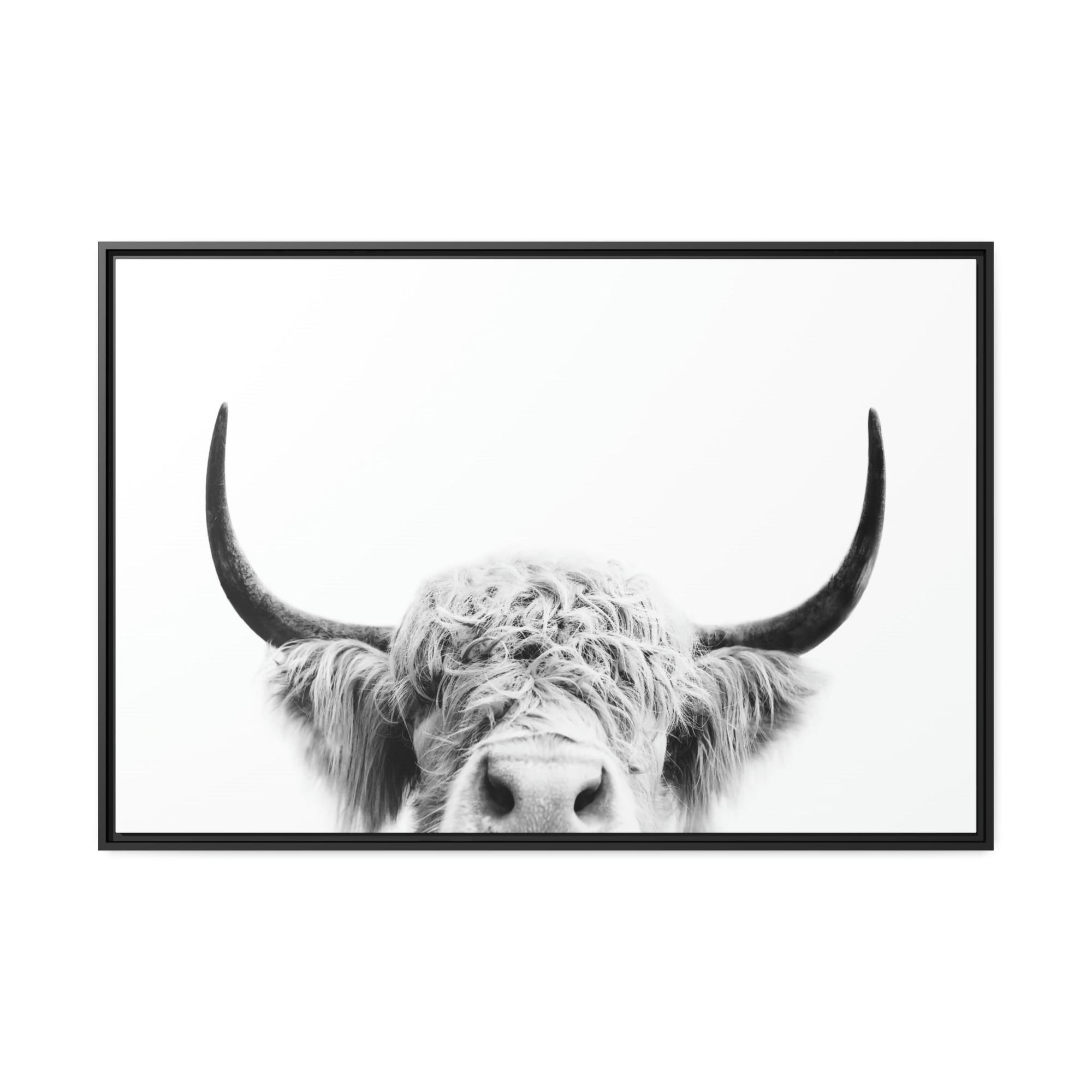 Highland Cow Highland Cow | Close-up of a Horned Cow | Wall Art — Pixoram