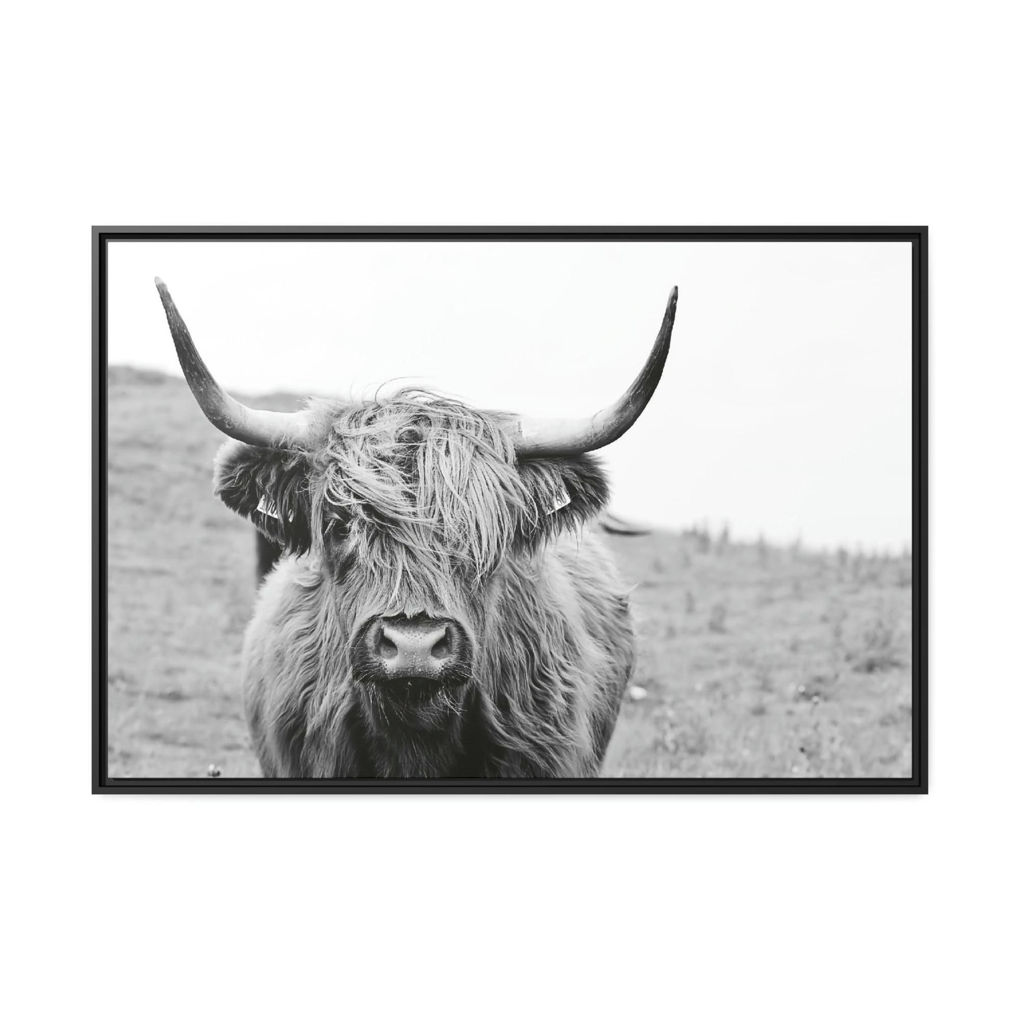Highland Cow Highland Cow Wall Art | Black-White Colors | Canvas Art — Pixoram