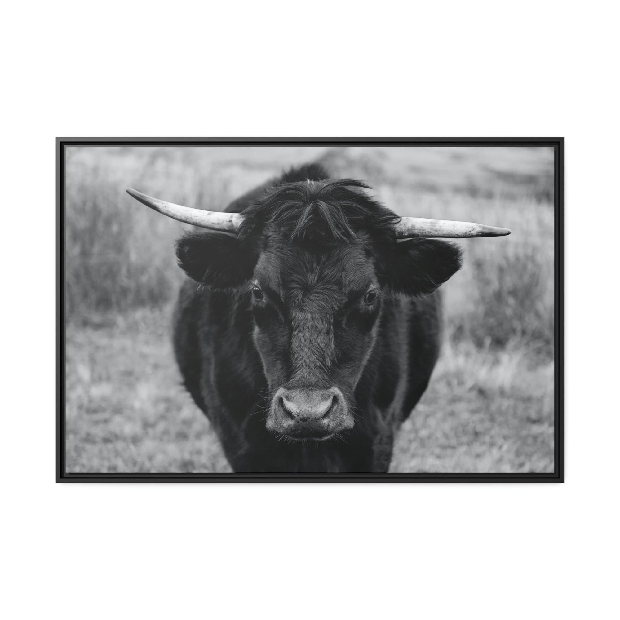 Highland Cow Highland Cattle Retriever - Printed Canvas - Wall Art - Cattle Wall Art | Animals Art