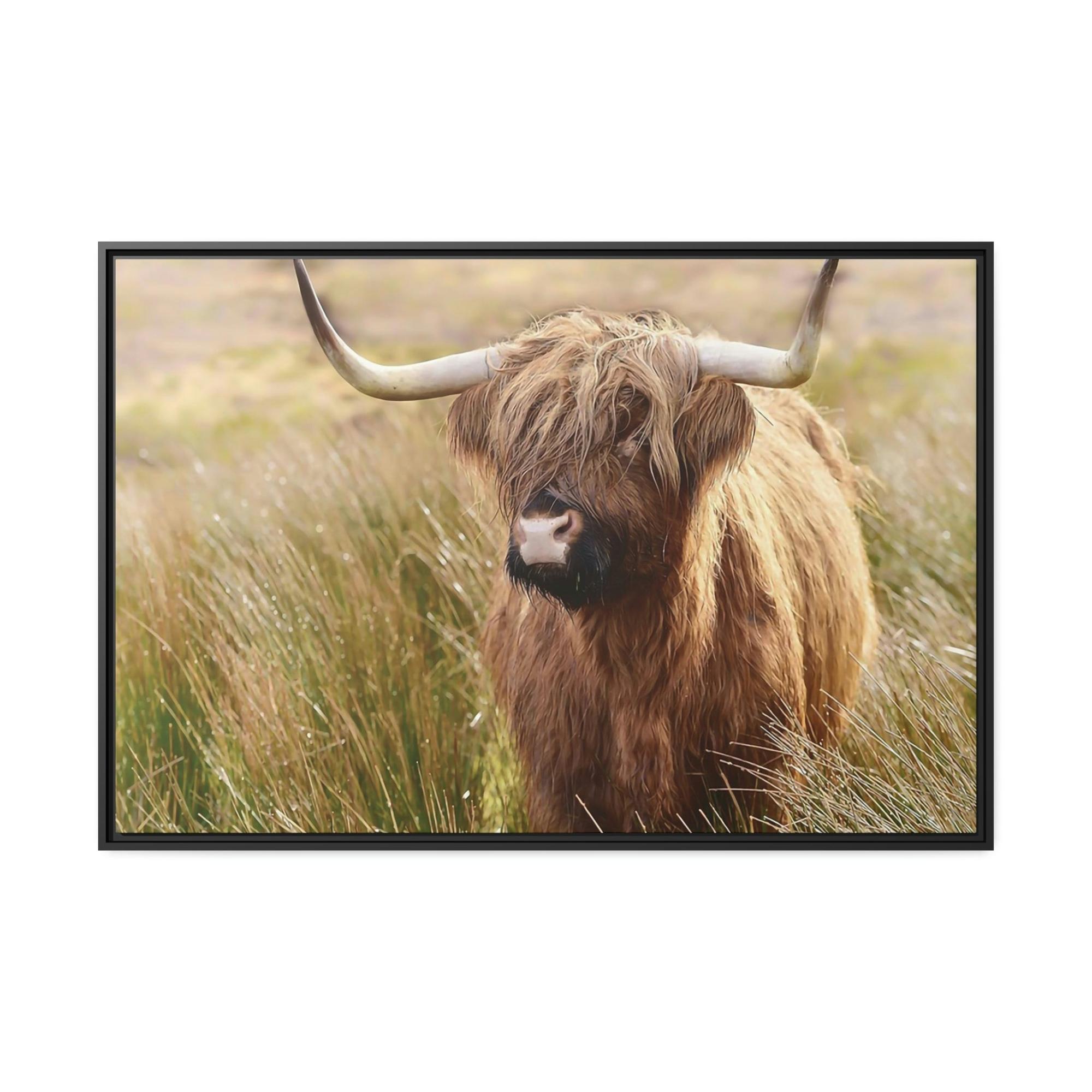 Highland Cow Highland Cow | Cow in the Morning Dew | Wall Art — Pixoram