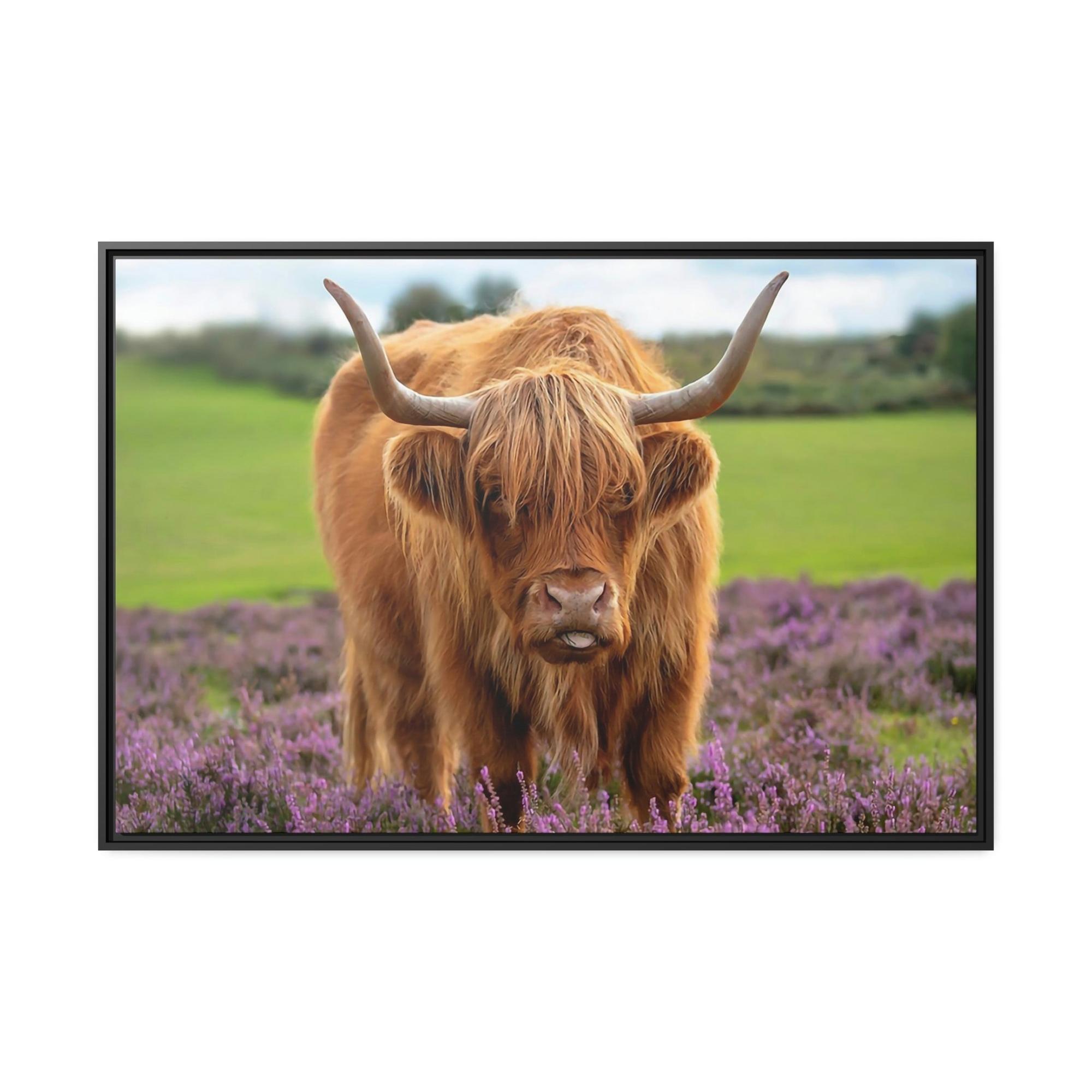 Highland Cow Highland Cow | Brown Cow in the Flowering Field | Canvas Art — Pixoram