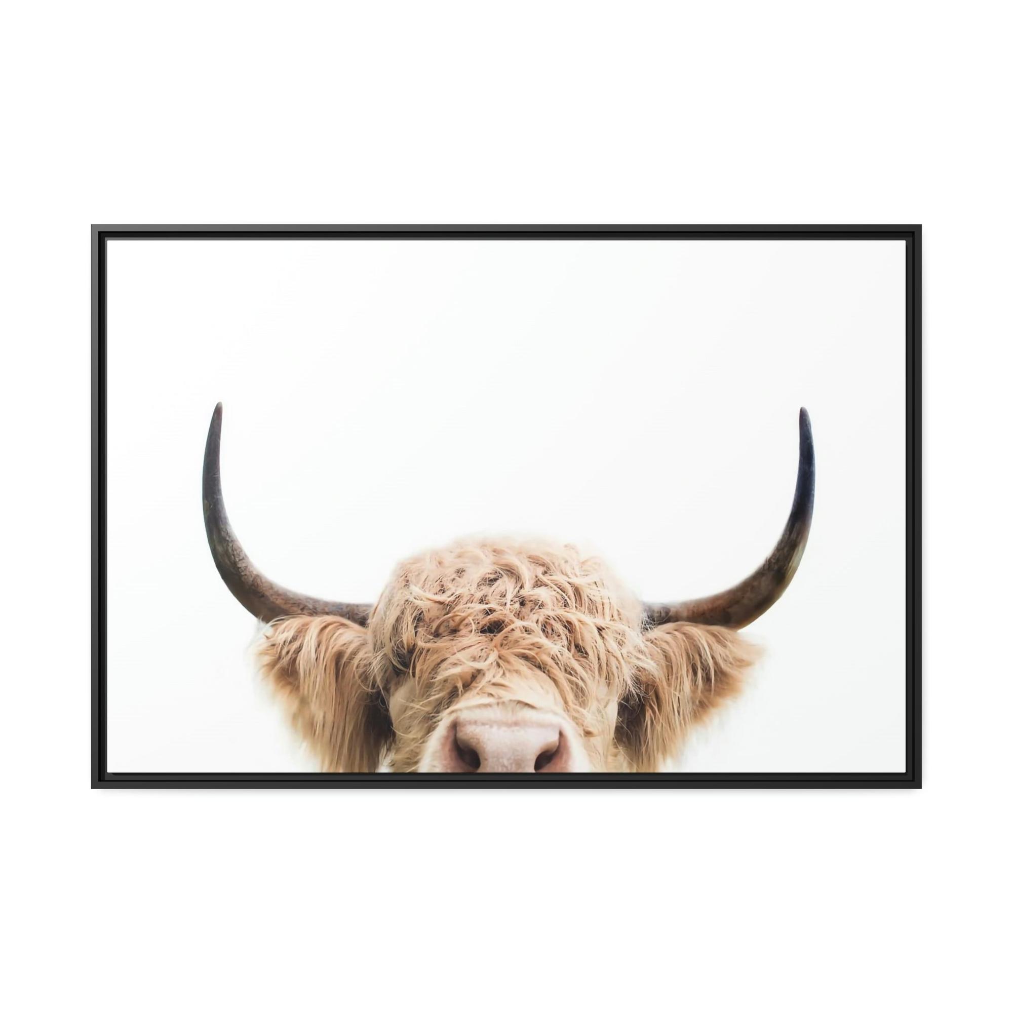 Highland Cow Highland Cow | Wooly Cow on Canvas | Wall Art — Pixoram