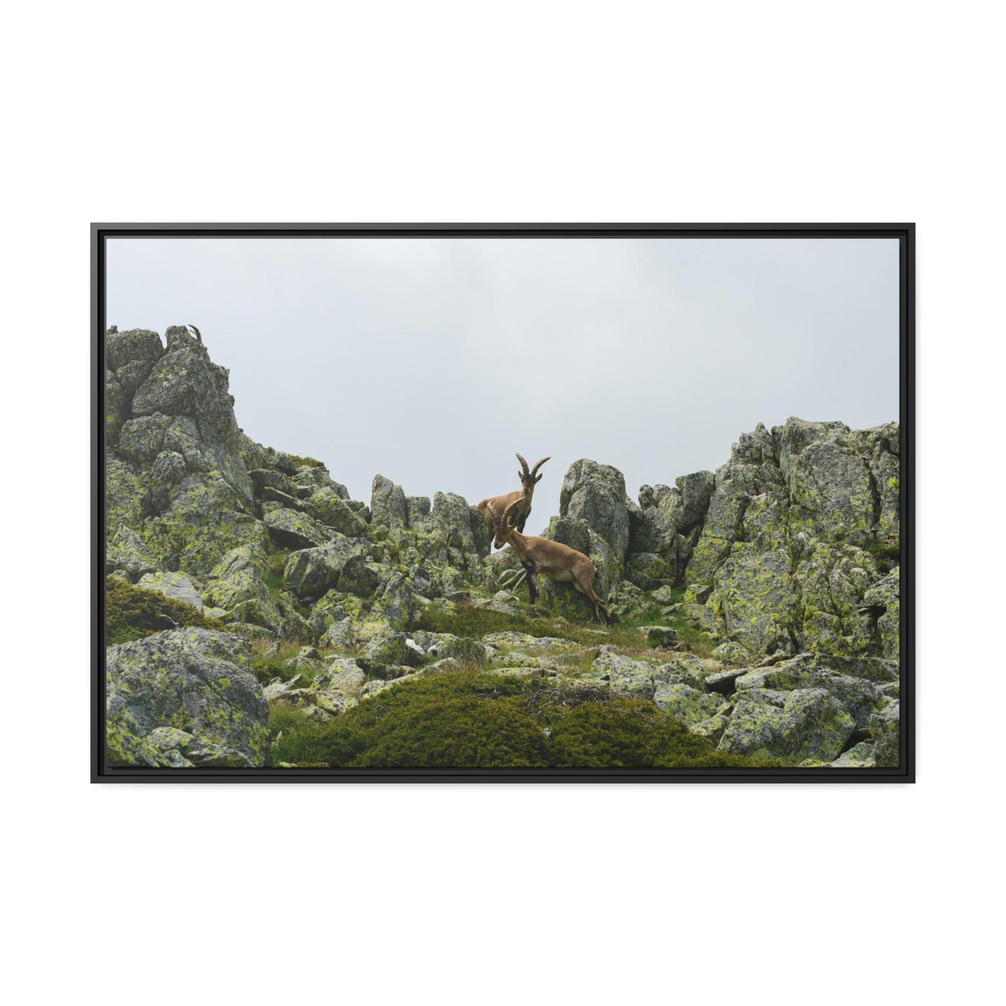 National Parks Natural Beauty: National Parks Canvas Art