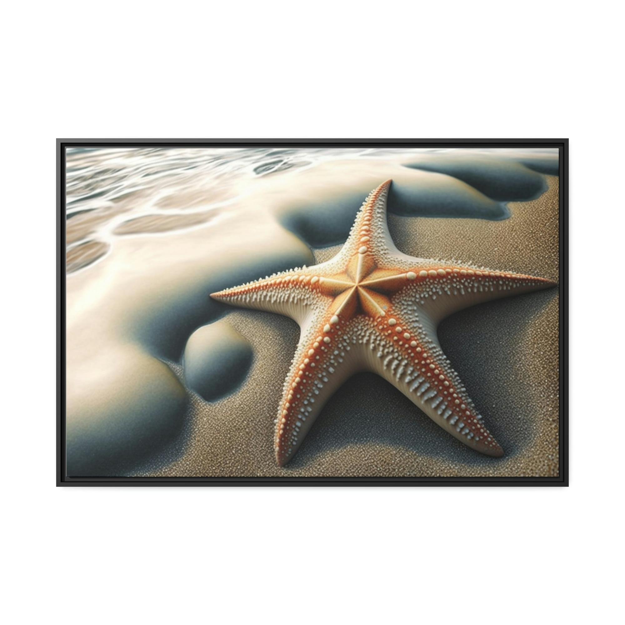 Starfishs Coral Kingdom: Starfish Edition