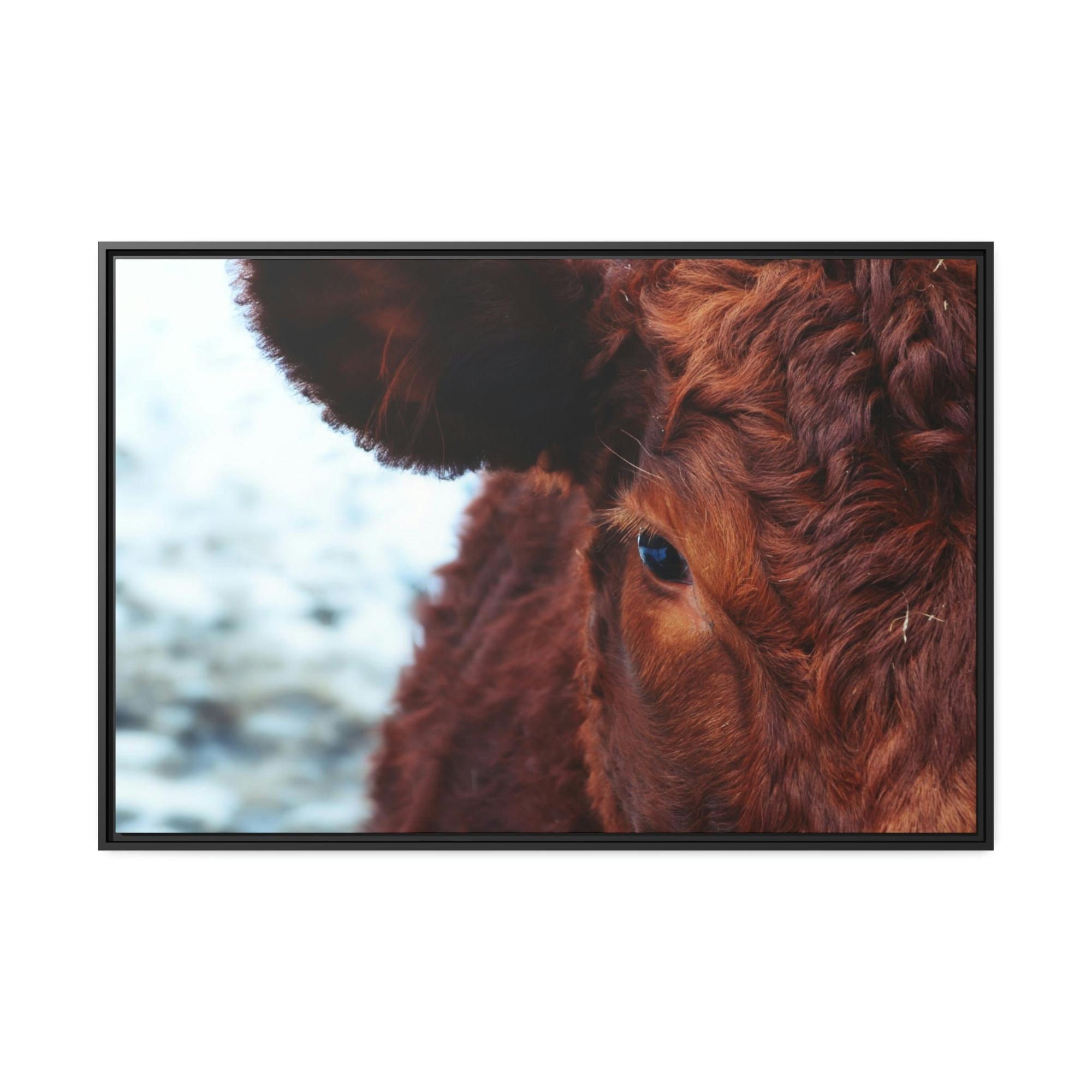 undefined Nelore Cattle Brazil - Wall Art - Wall Art - Animal Canvas