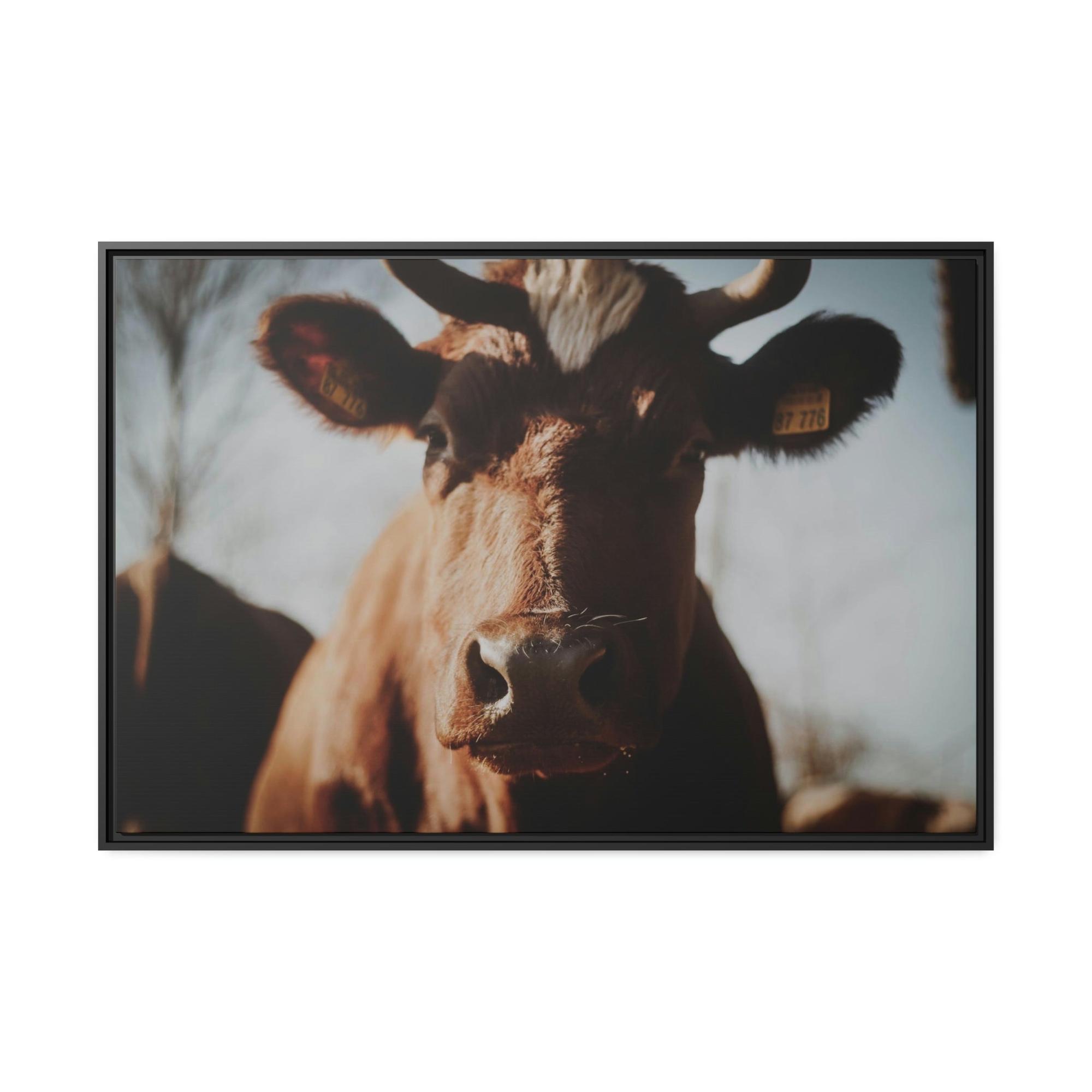 Cows Cow Dreams: Poster & Canvas Print and Wall Art of Whimsical Cow
