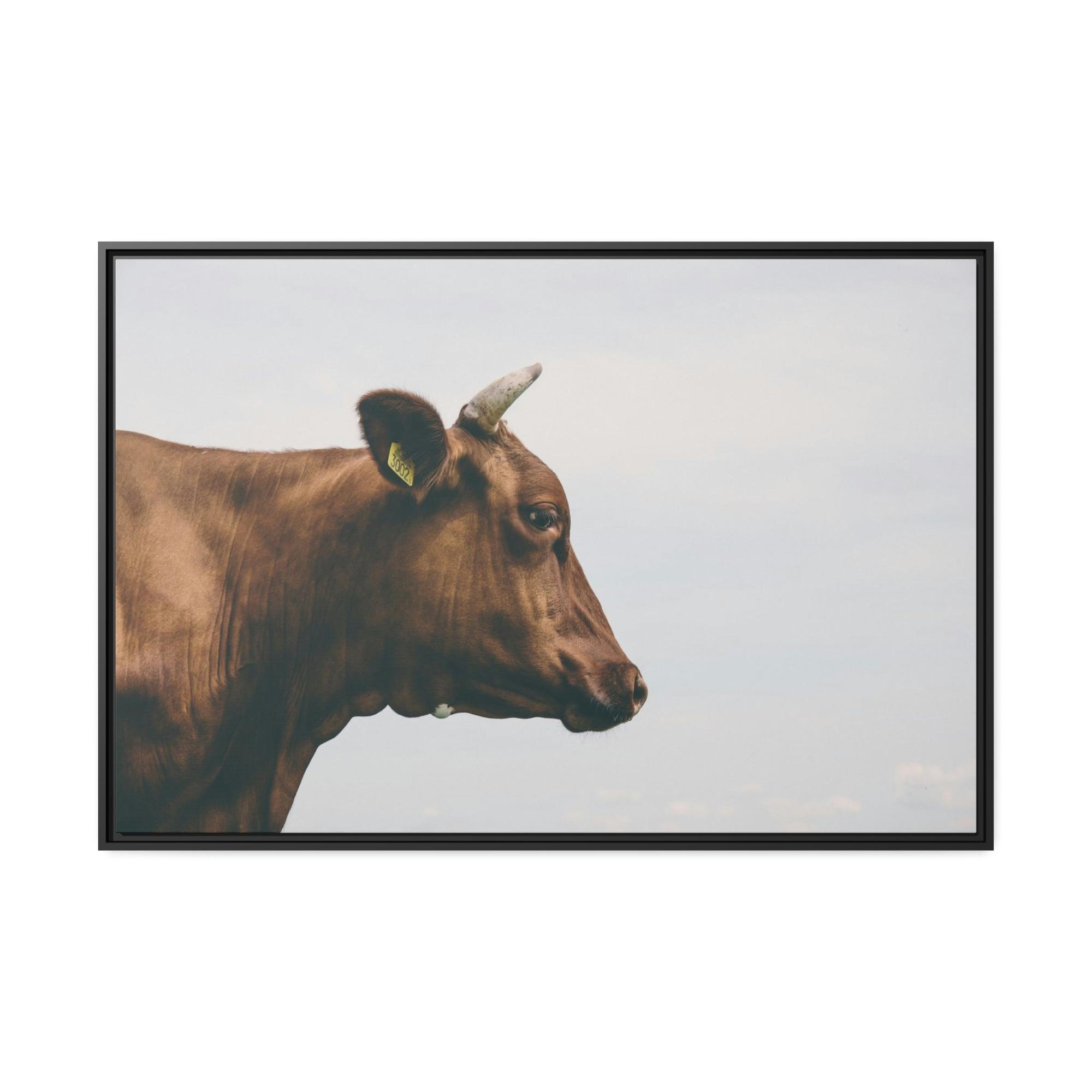 Highland Cow Scotch Highland Cattle - Wall Art | Animals Art
