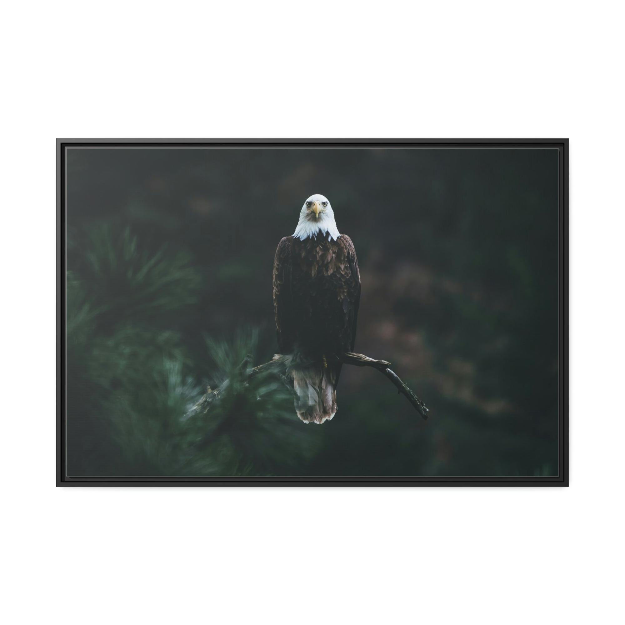 Eagles Eagle's Serenity: Canvas Print, Capturing their Tranquil and Regal Aura