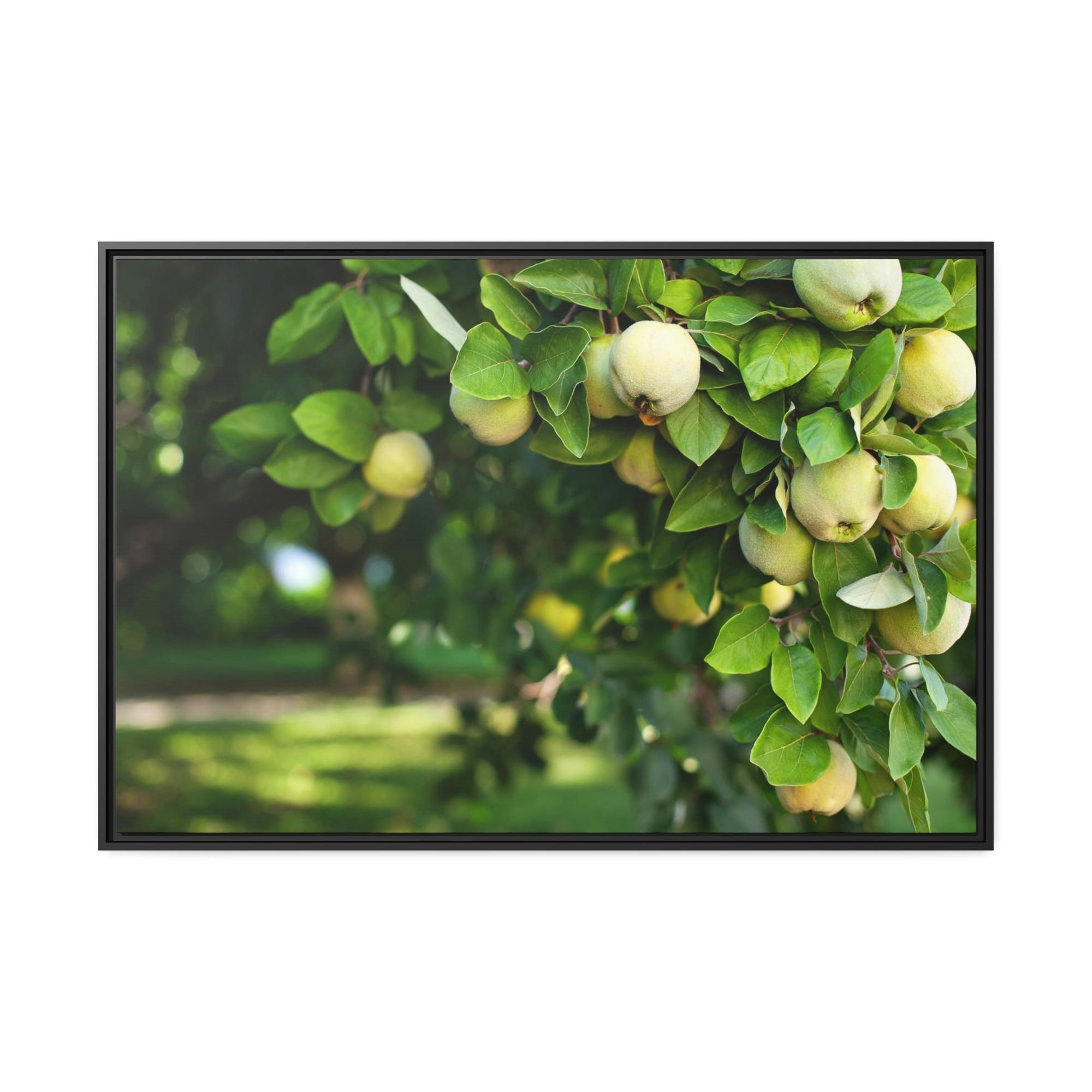undefined Harvest Time: Fruit Trees Painting on Canvas