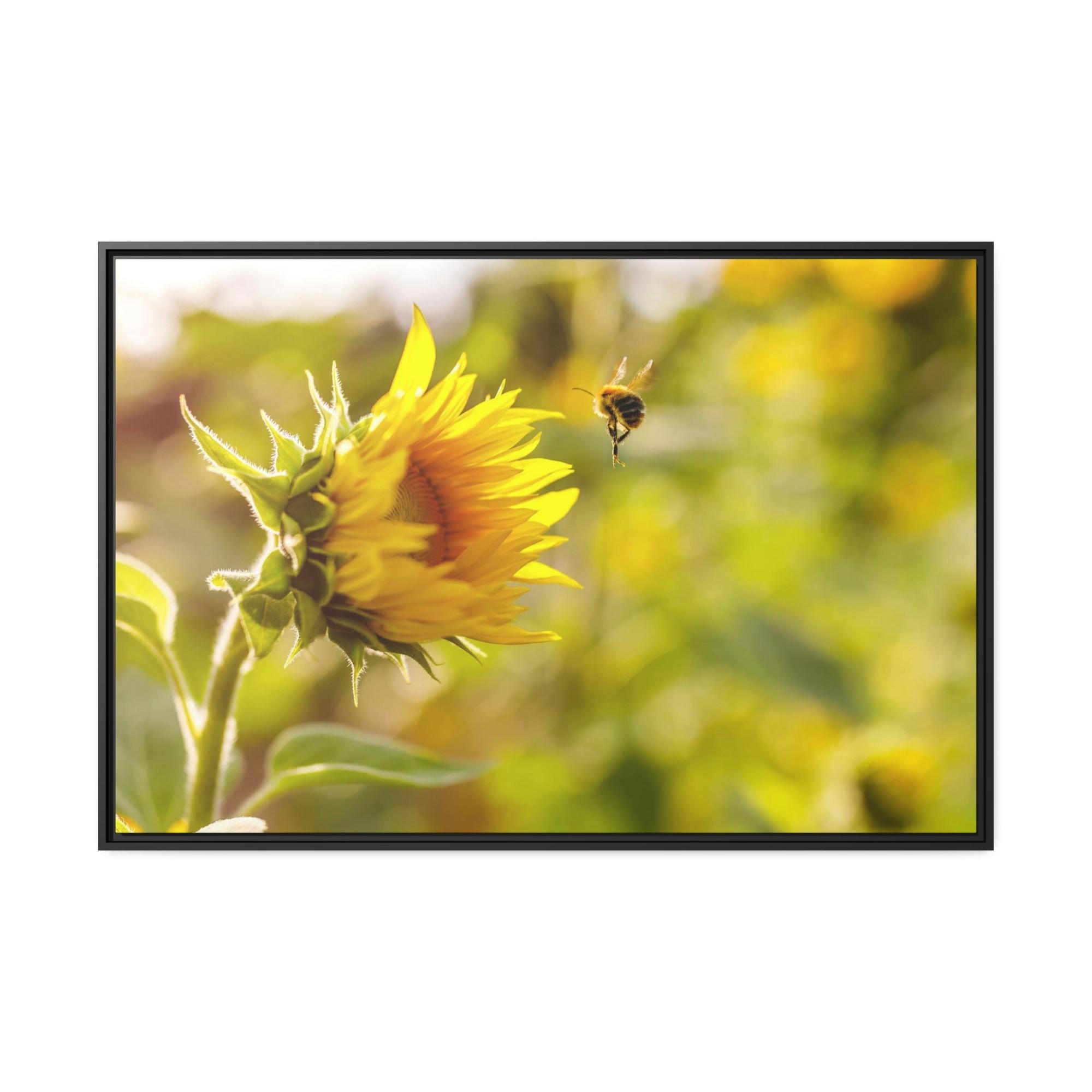 undefined Blooming Sunshine: A Breathtaking and Inspiring Vision of Nature's Delight