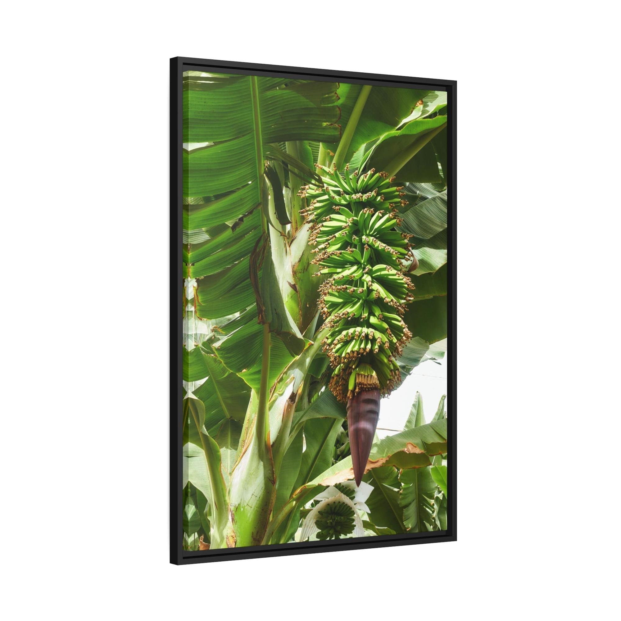 Banana Trees Tropics Calling: Canvas Art with Vibrant Banana Trees in a Jungle Setting