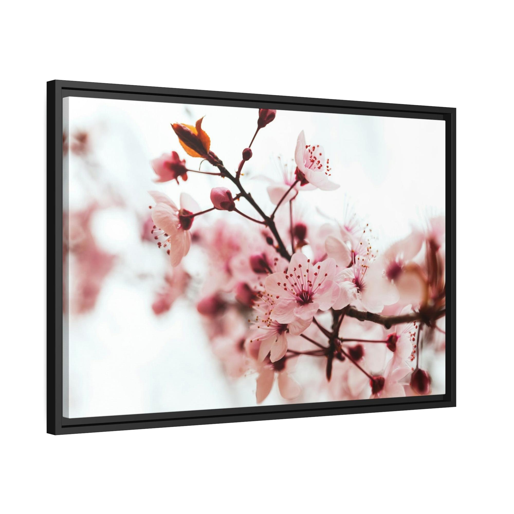 Almond Blossoms Blossoming Beauty: Almond Blossoms on Natural Canvas & Poster