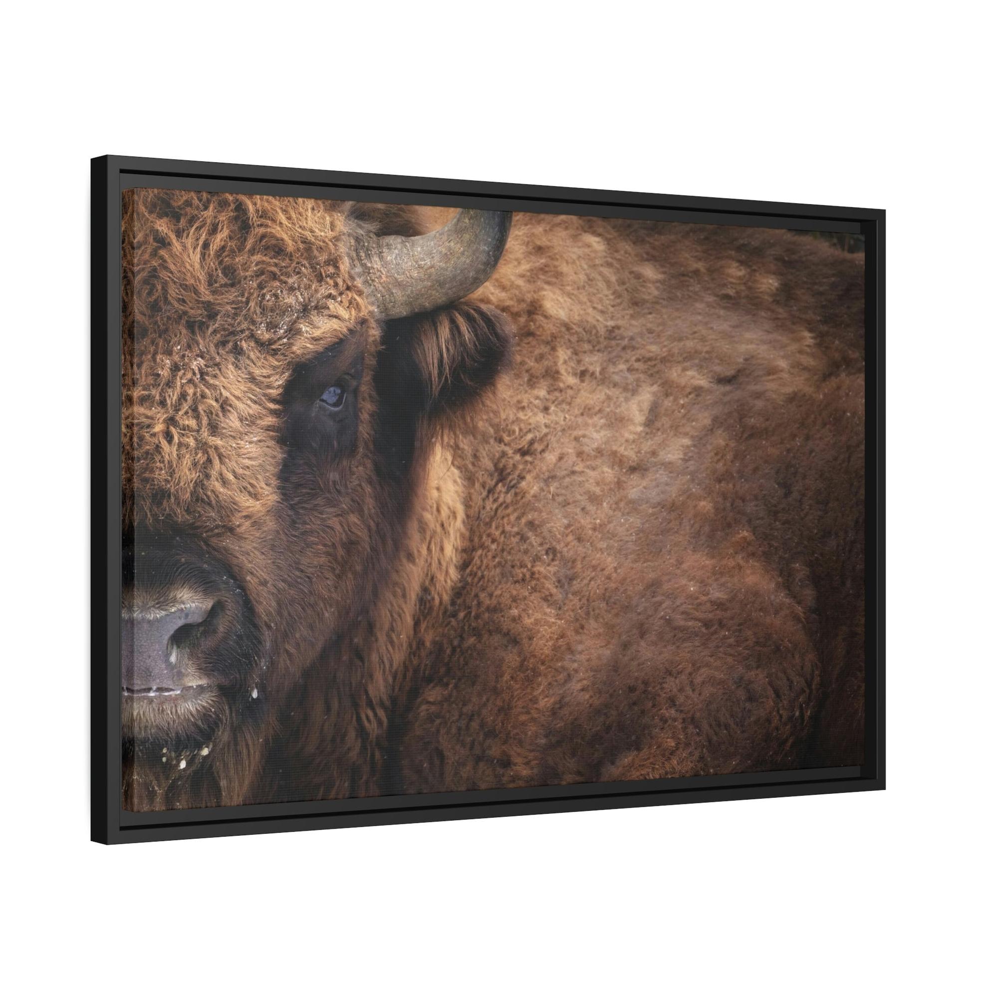 Bulls Artistic Bull Illustration: Natural Canvas and Poster Prints