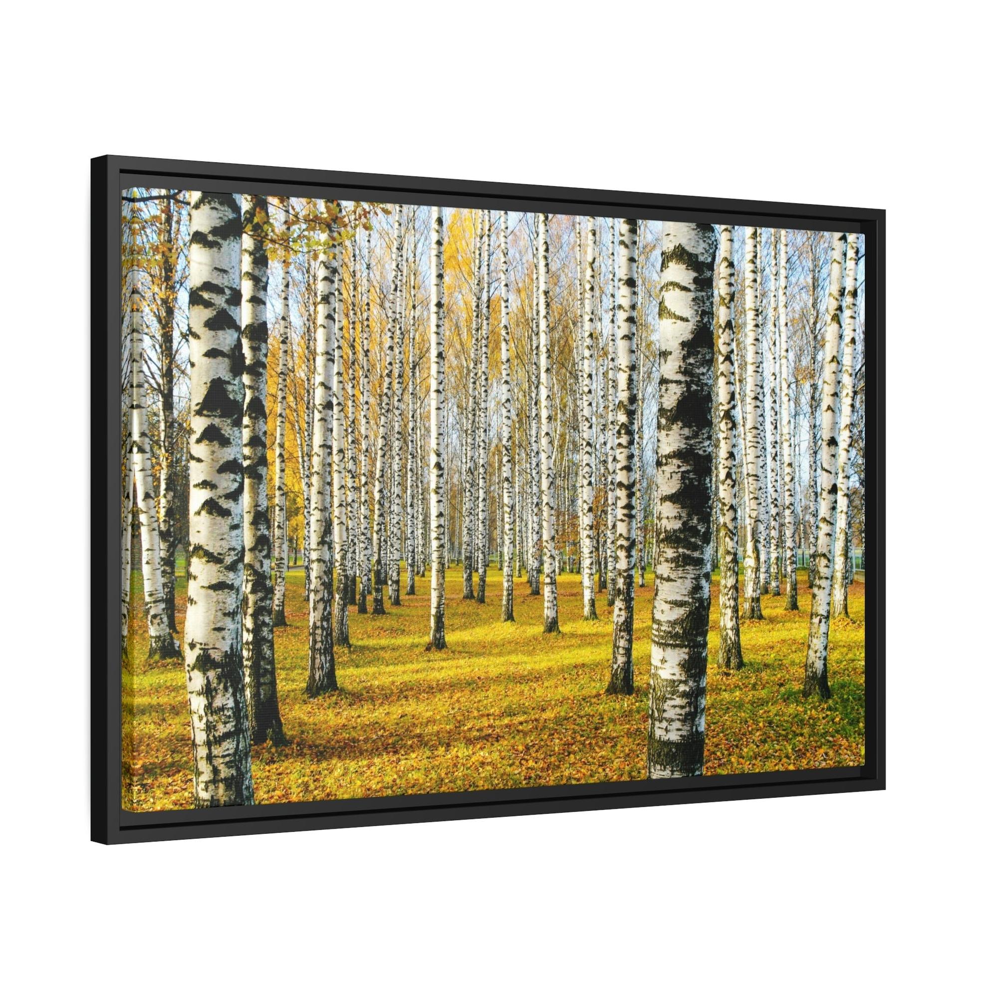 Aspen Trees The Serene Beauty of Aspen Trees: Wall Art for Your Home